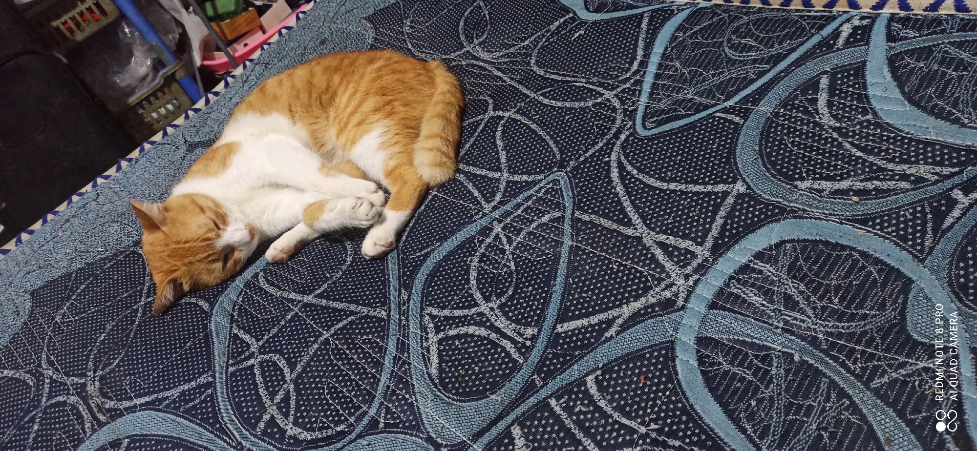 An orange and white cat is sleeping curled up on a dark blue patterned fabric. The fabric has a repeating abstract design with light blue and white stitching. The cat's eyes are closed, and its paws are tucked in. The background is blurred, showing some household items and a glimpse of a shelf with various objects. The image appears to be taken indoors, likely in a residential setting. The camera's watermark indicates the location "Sedati Agung, Indonesia."