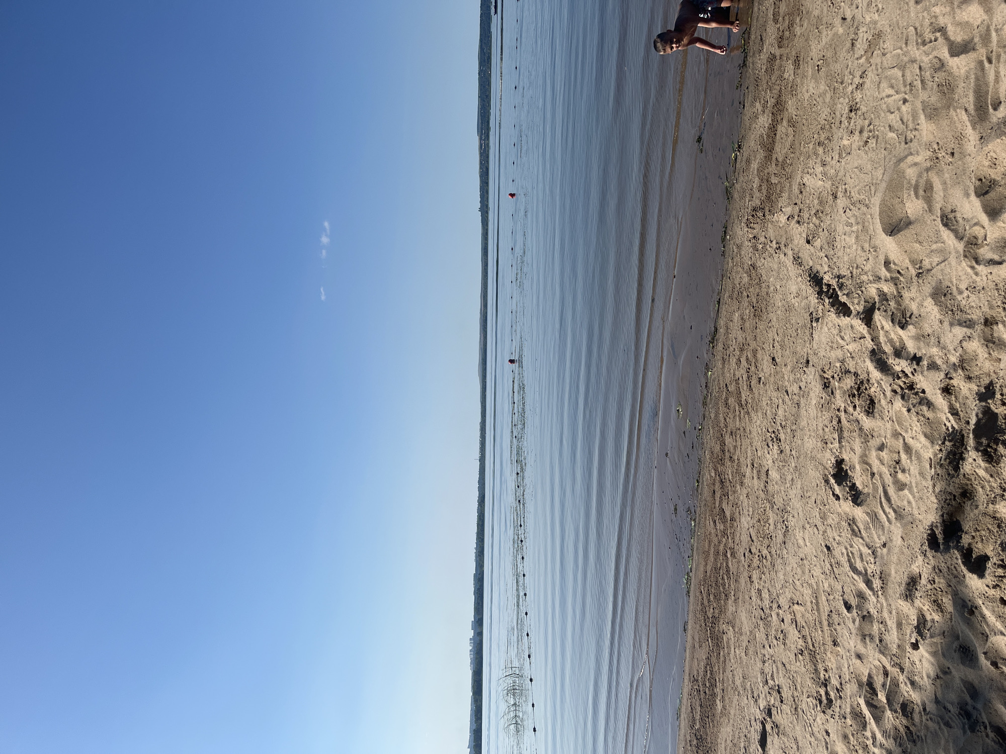 The image depicts a wide expanse of water, likely a river or lake, under a clear blue sky with a few wispy clouds. The foreground is a sandy beach with visible footprints. A young boy, wearing dark shorts, is crouched near the water's edge on the right side of the frame, looking towards the camera. In the water, a line of buoys stretches across the frame, marking a designated area. In the distance, a tree line and buildings are visible along the horizon, suggesting a developed area. The water is calm, with gentle ripples reflecting the sky. The overall scene conveys a peaceful summer day at a waterfront. The location is Shumeika, Russia.