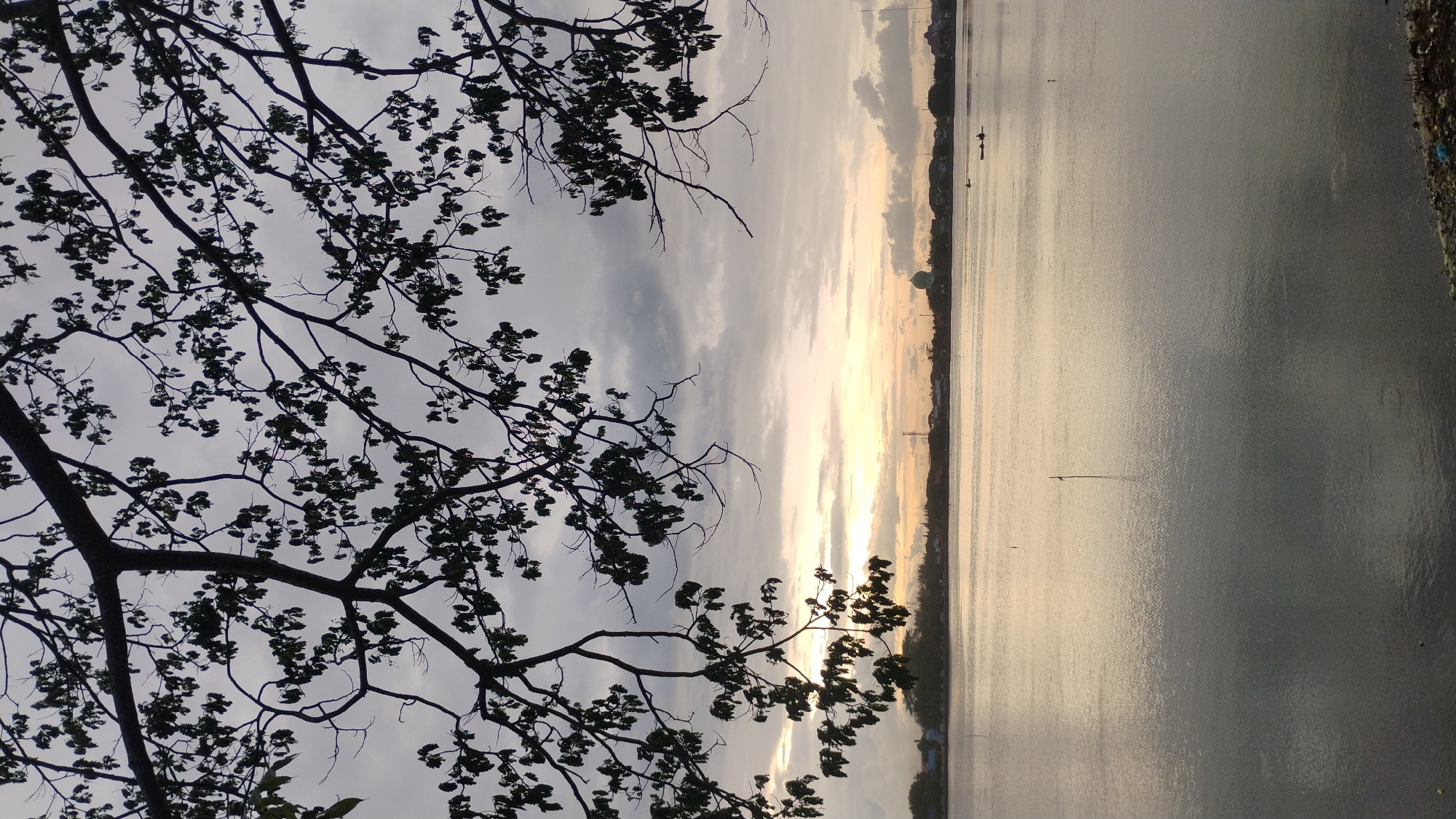 The image captures a serene view of a body of water, likely a river or lake, near the city of Lhokseumawe, Indonesia. Silhouetted branches of a tree with dark leaves frame the upper portion of the scene, creating a natural canopy against a cloudy sky. The sky itself is a blend of soft grays and muted yellows, suggesting either early morning or late afternoon light. The water's surface reflects the sky's hues, creating a shimmering, tranquil effect. In the distance, a faint line of trees and buildings marks the shoreline. A green dome, possibly part of a mosque, is visible among the structures. Two small boats with people are present on the water, indicating some activity. A single pole stands in the water near the center of the frame. The foreground shows a rough, debris-strewn embankment. The overall atmosphere is peaceful and natural, with subtle signs of human presence.