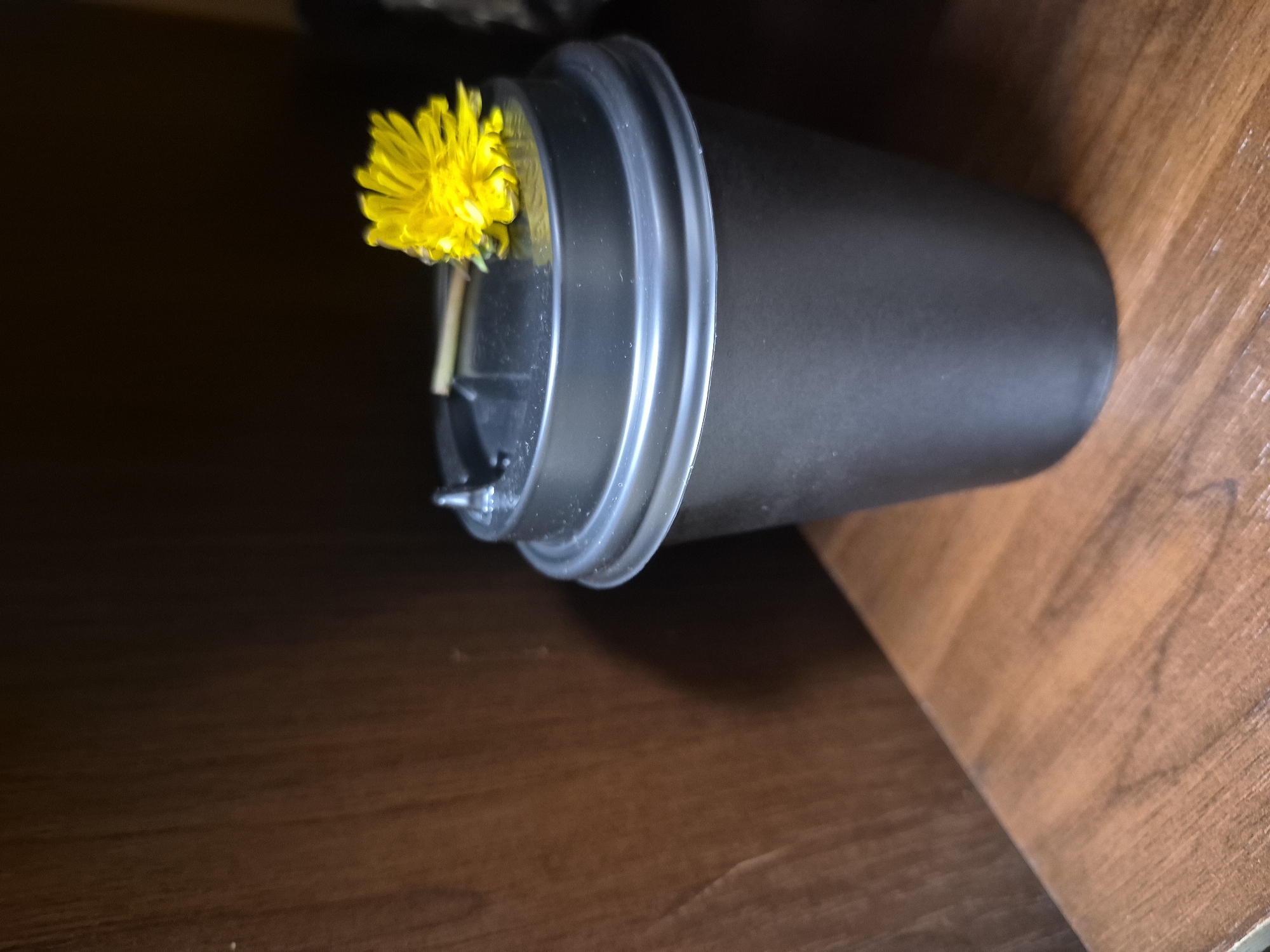 A black, disposable coffee cup with a lid rests on a brown wooden surface. A single yellow dandelion flower is inserted into the opening of the lid. The location is Unknown, Unknown.