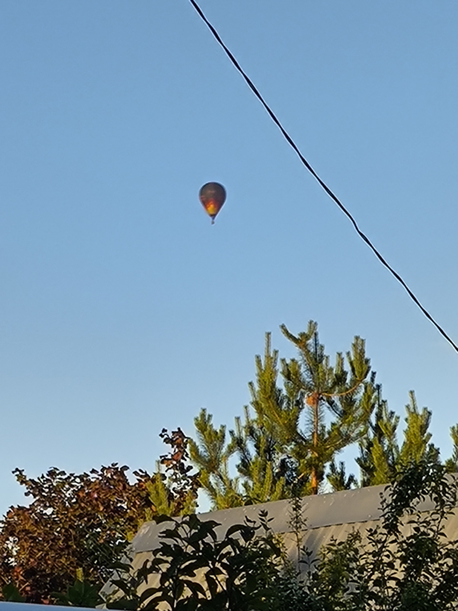 A hot air balloon is visible in the upper part of the image against a clear blue sky. The balloon appears to be illuminated from within, showing hues of orange and yellow. A dark, thin wire cuts across the upper right portion of the frame. Below the balloon and in the middle ground, the tops of evergreen trees are prominent, with some branches appearing to have a light, orangish glow, possibly from the setting sun. In the foreground, the tops of deciduous trees with dark brown leaves and some green foliage are visible, along with a light-colored structure, possibly a roof or fence. The scene is outdoors, with natural lighting.