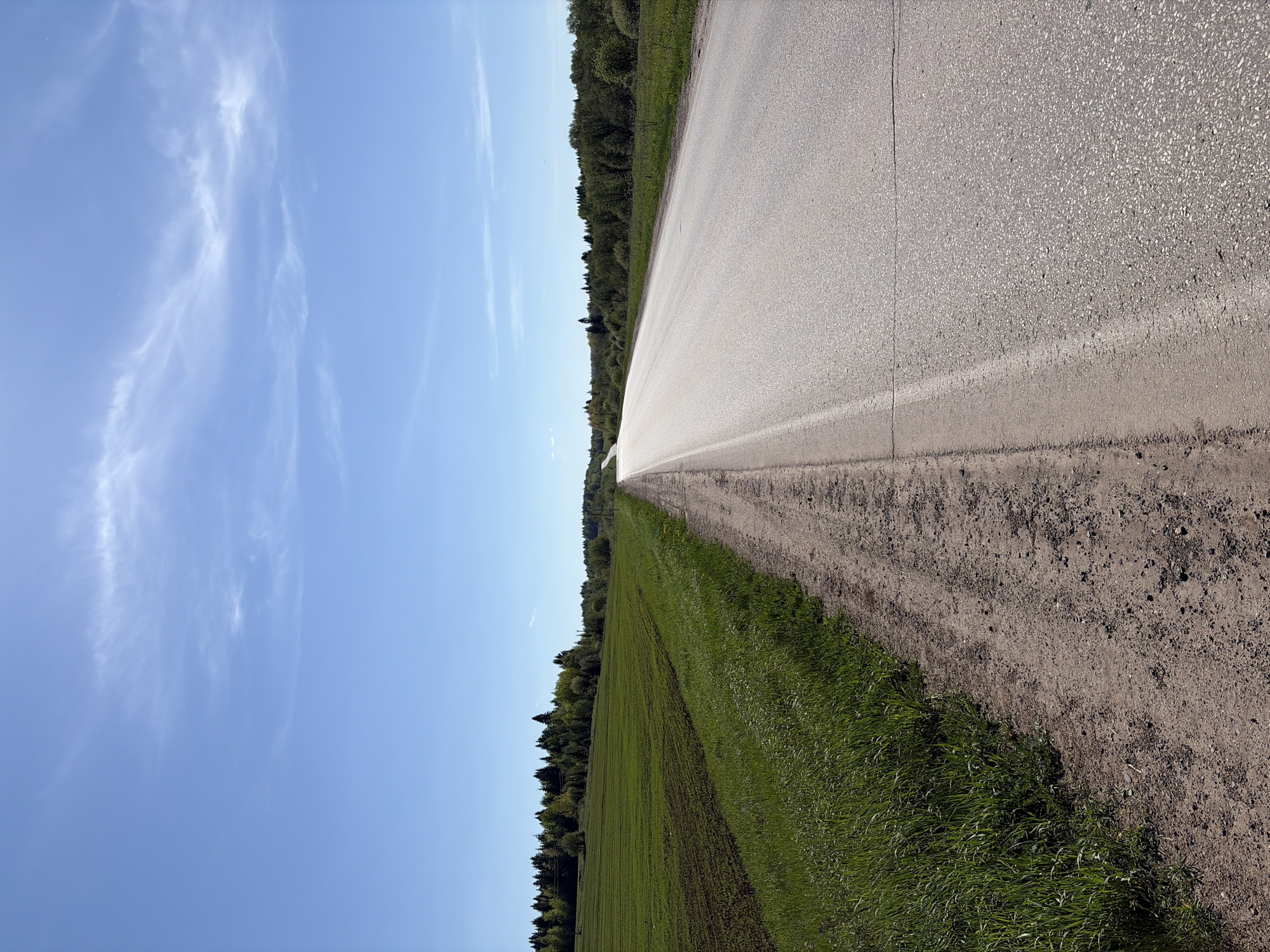 The image shows a long, straight asphalt road receding into the distance under a clear blue sky with wispy clouds. Vegetation, including grass and trees, flanks the road on both sides. The scene evokes a rural or semi-rural setting. The lack of specific elements in the image prevents conclusively determining the location is Zvyozdny, Russia. There are no people, animals, or signs of recent activity visible on the road or in the surrounding landscape.