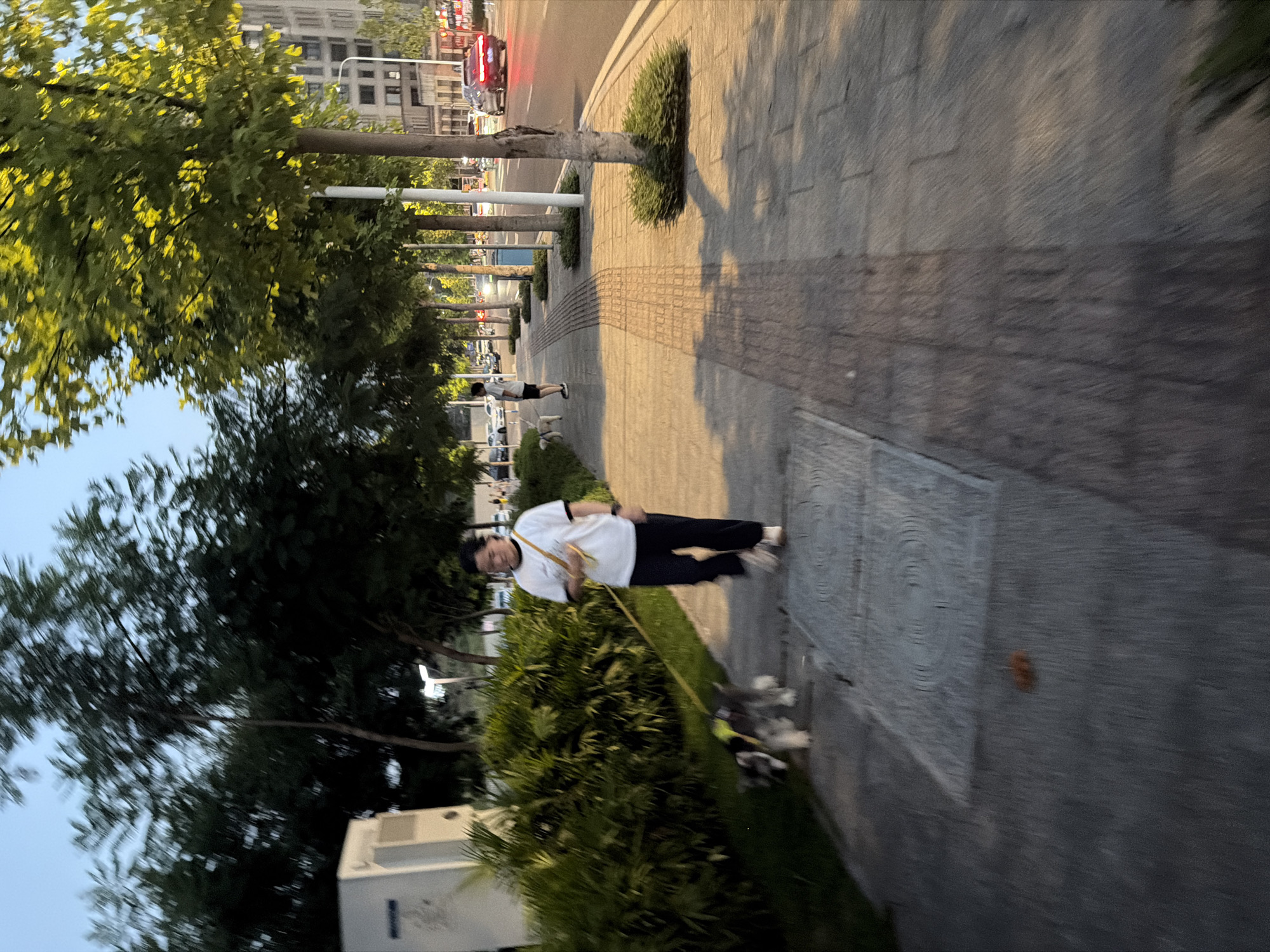 A person is walking a dog on a sidewalk in Jiangjin, China. The person is wearing a white t-shirt and dark pants and is holding a yellow leash. The dog is a small, grey and white breed, wearing a yellow vest. The sidewalk is paved with stone tiles and lined with trees. In the background, there are buildings and cars. The sky is clear and blue. The image appears to be taken in the late afternoon or early evening.