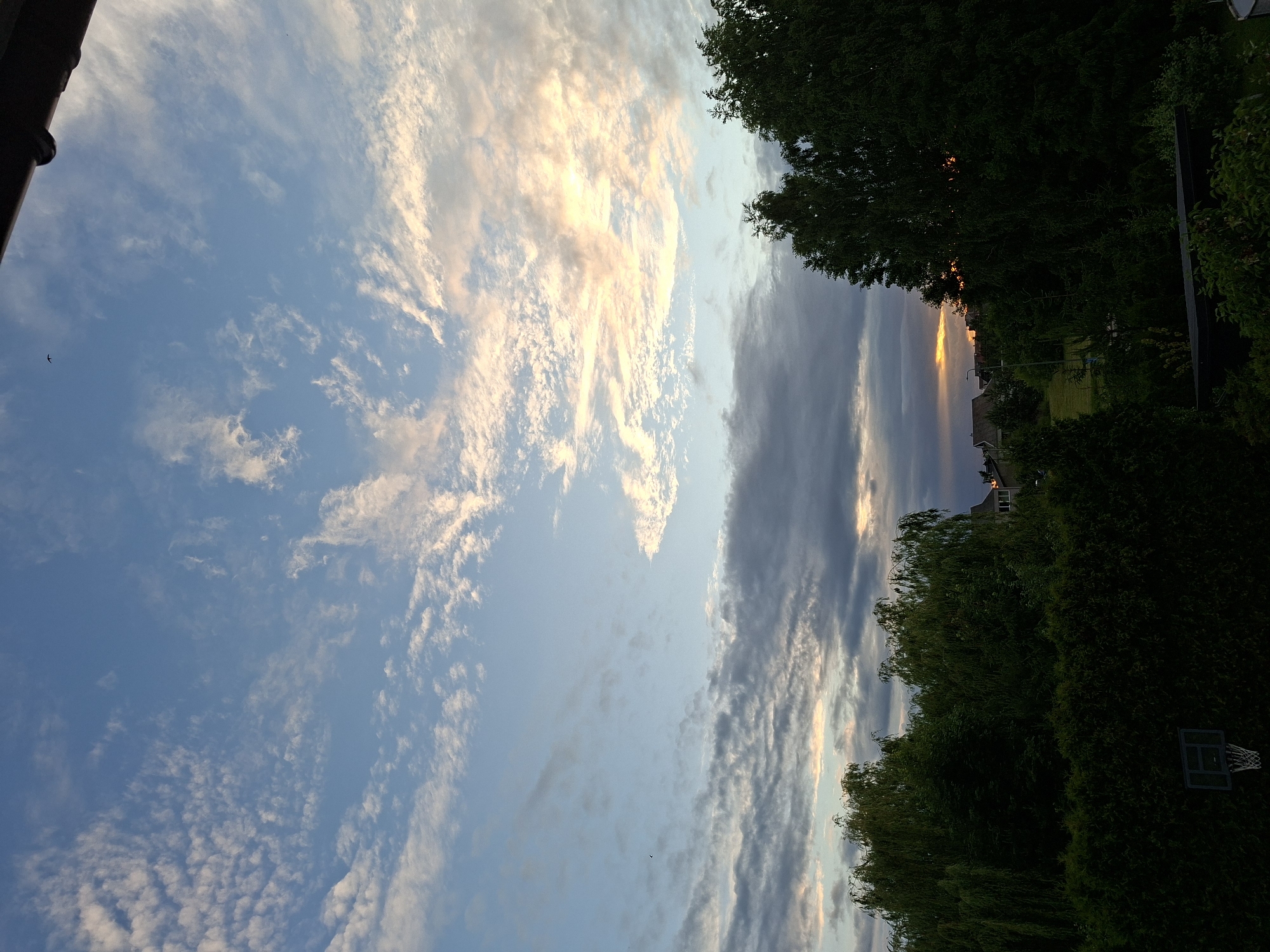 A wide-angle, eye-level outdoor photograph captures a sunset view over a suburban landscape in Alytus, Lithuania. The sky is a prominent feature, transitioning from a clear, pale blue at the top to heavier, darker clouds closer to the horizon. Wispy cirrus clouds are scattered across the upper sky, tinged with pink and orange from the setting sun. Below these, a band of thicker, grey clouds stretches horizontally. The lower portion of the image is dominated by lush green trees and dense foliage. In the foreground, the dark silhouette of a privacy fence and a basketball hoop are visible. In the midground, several residential buildings with visible windows and rooftops are nestled amongst the trees, with a street lamp also apparent. The horizon line shows a strip of vibrant orange and yellow light from the setting sun peeking through the clouds. A small bird is visible in flight in the upper sky. The overall impression is of a tranquil evening scene in a residential area.
