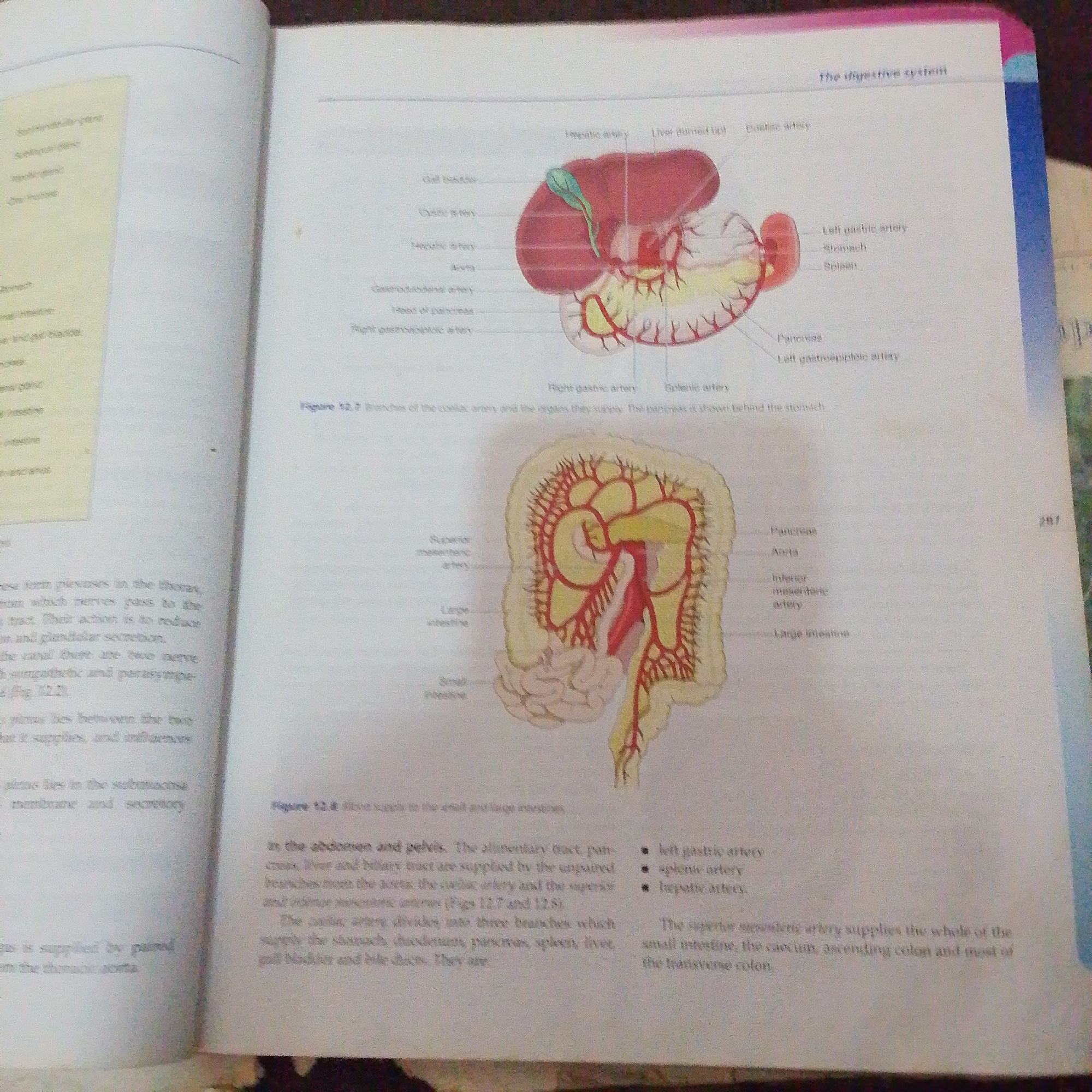 The image displays two anatomical diagrams related to the digestive system. The top diagram illustrates the arterial supply to the liver, stomach, spleen, and pancreas, with labels such as "Hepatic artery," "Liver (turned up)," "Celiac artery," "Gastroduodenal artery," "Right gastric artery," "Splenic artery," "Left gastric artery," "Stomach," "Spleen," and "Pancreas." The bottom diagram shows the arterial supply to the intestines, with labels like "Superior mesenteric artery," "Large intestine," and "Small intestine," as well as "Pancreas," "Aorta," "Inferior mesenteric artery," and "Large intestine." A caption beneath the top diagram reads: "Figure 12.7 Branches of the celiac artery and the organs they supply. The pancreas is shown behind the stomach." A caption beneath the bottom diagram is partially visible but appears to label a figure related to arteries in the abdomen and pelvis. The image is a page from a textbook or educational material, as indicated by the presence of diagrams, labels, and captions. There is no information in the image that relates to Jalingo, Nigeria.