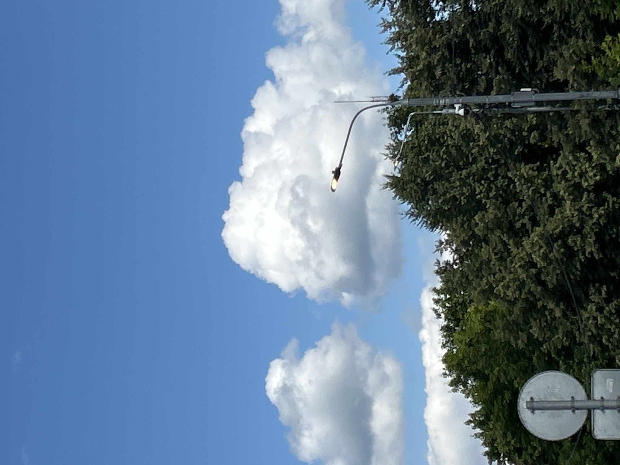The image shows a street light in Zelenograd, Russia, with a backdrop of trees and a bright blue sky dotted with white clouds. The street light is dark gray and curved, with a single light fixture at its end emitting a warm yellow light. Mounted on the pole of the street light are what appear to be surveillance cameras and other equipment. In the foreground, to the left, is a partially visible traffic sign consisting of a circular white sign with a vertical gray line, mounted on a gray pole. The trees are dense and green, forming a line across the lower portion of the image. The sky is clear and blue, with large, fluffy white clouds dominating the upper half of the frame.
