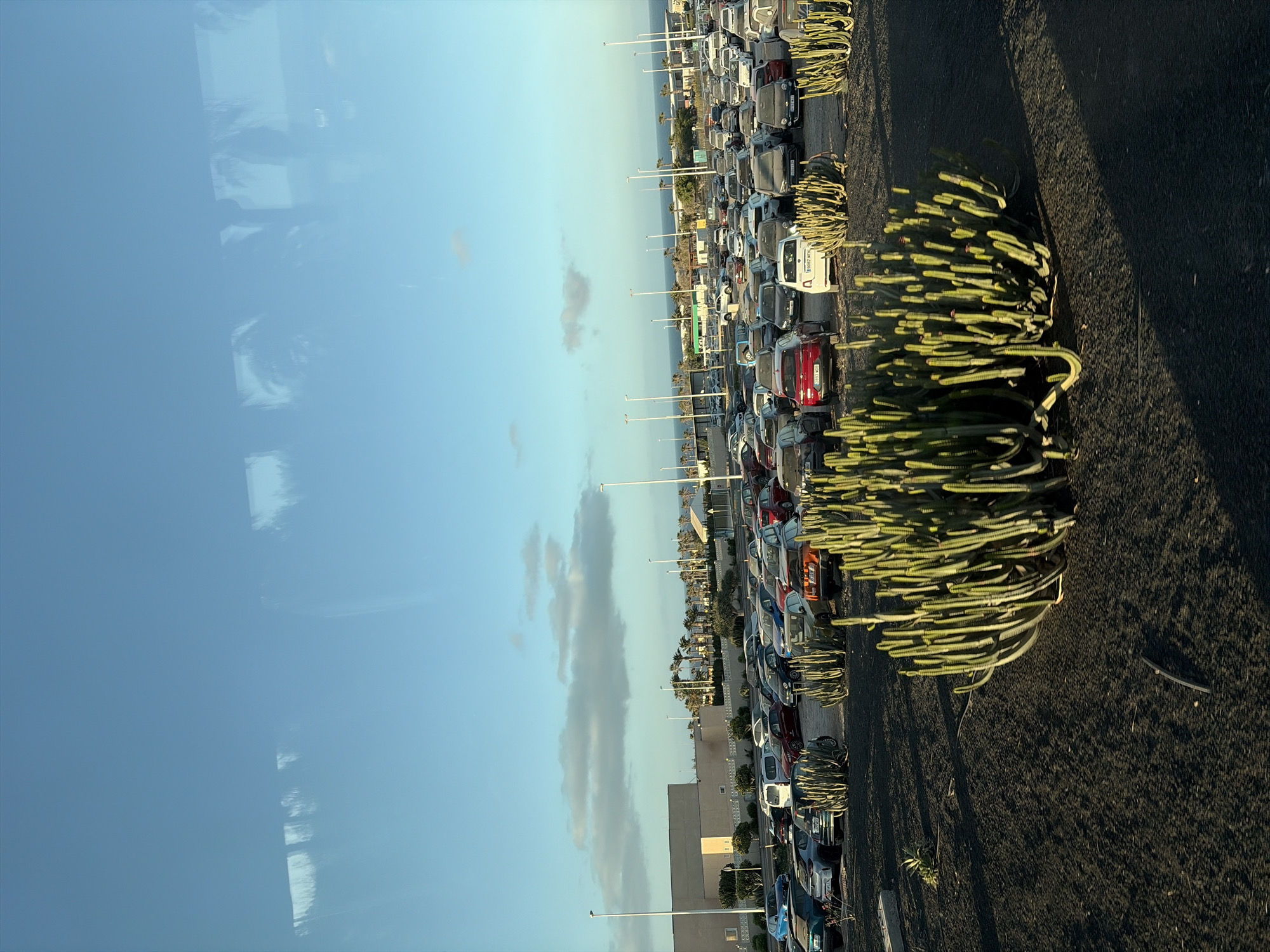 The image shows a parking lot adjacent to a road in Puerto del Rosario, Spain. The parking lot is densely packed with cars. A row of succulent plants grows along the side of the road, bordering the parking lot. The sky is clear with some scattered clouds and reflections, suggesting the photo was taken through a window. The background includes buildings, streetlights, and a distant view of the ocean.