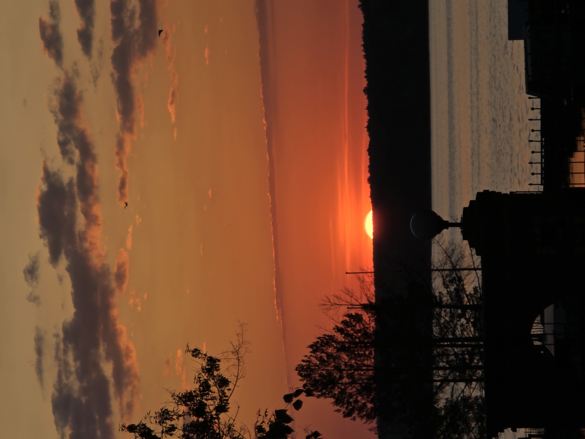 Captured near Chaikovsky, Russia, the image presents a sunset scenario. The sun, a bright orb, is partially obscured by a dark, silhouetted tree line. The sky displays a spectrum of orange hues with wisps of clouds. A body of water stretches to the right, reflecting the sky's colors. Silhouetted structures, including what appears to be a building and a pier with evenly spaced lights, are visible on the right side of the frame. The foreground contains dark, leafy branches.