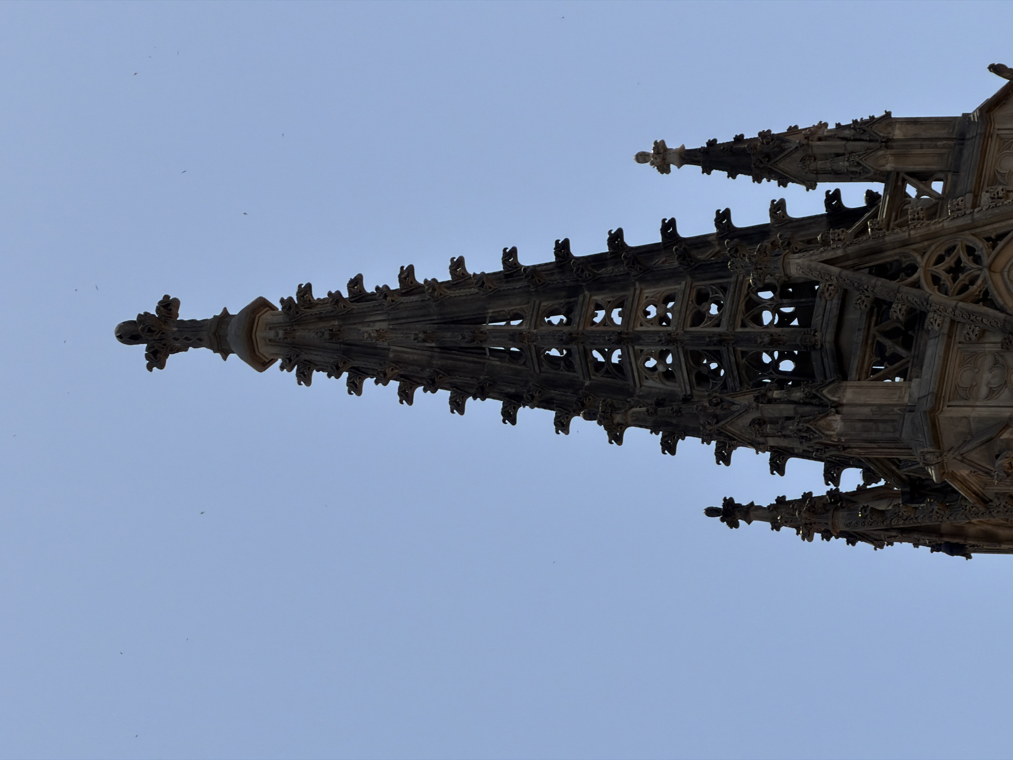 This is a close-up, low-angle shot of a Gothic spire against a clear blue sky. The spire is intricately detailed with ornate carvings, small gargoyle-like figures protruding from its sides, and openwork sections. A smaller spire with similar detailing is visible to the right. Several small, dark specks, likely birds or insects, are scattered across the sky. The spire is made of dark stone and appears ancient. This spire is part of the Sagrada Familia in Barcelona, Spain.