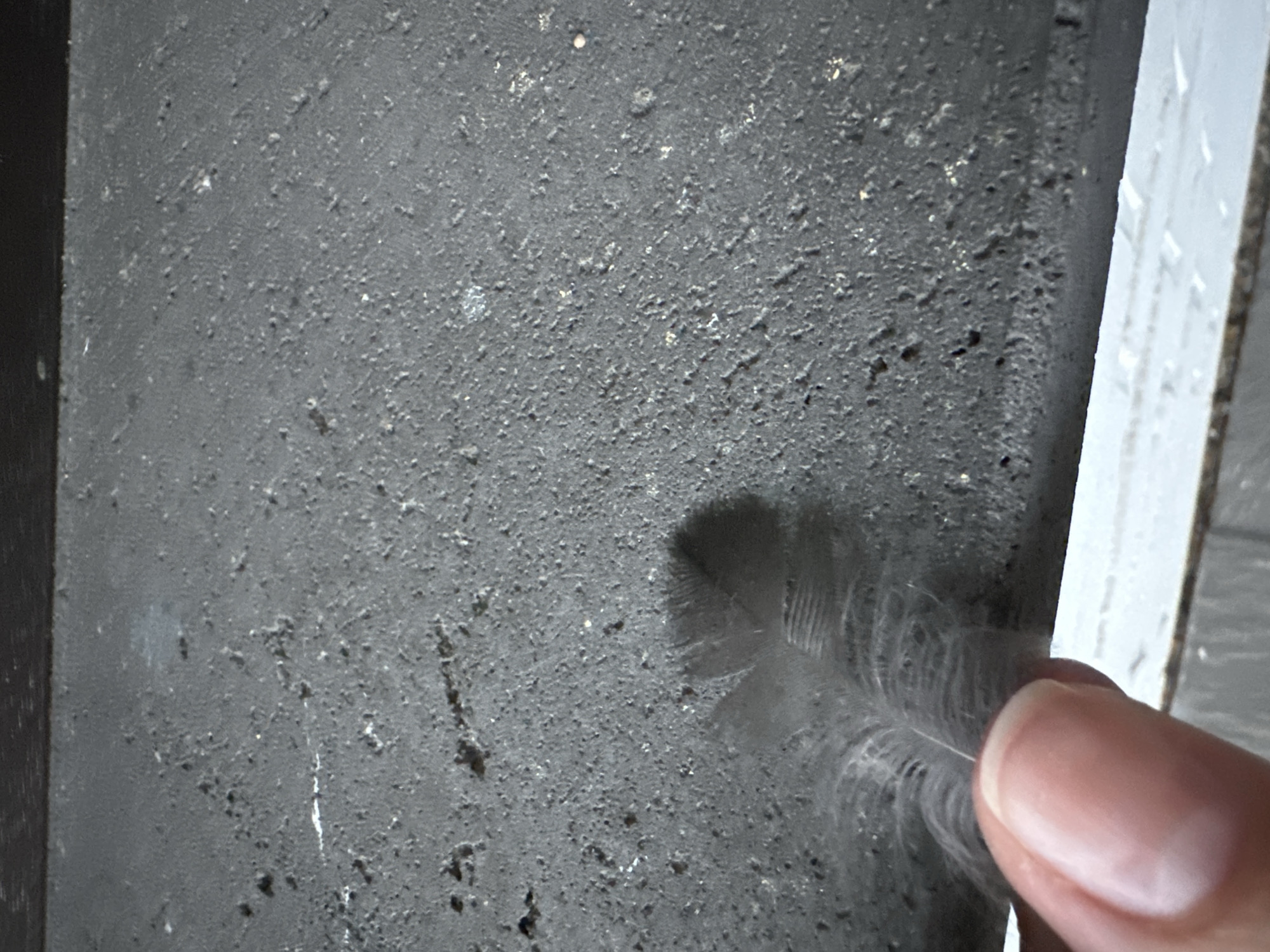 A close-up, high-angle shot captures a person's thumb and forefinger gently holding a small, gray feather. The feather is soft and delicate, with wispy barbs. The background is a rough, textured, dark gray surface, possibly concrete or stone, with small pits and flecks of lighter material. The surface appears to be outdoors, and the lighting suggests daylight. The image does not contain enough information to determine a specific location in Krefeld, Germany.