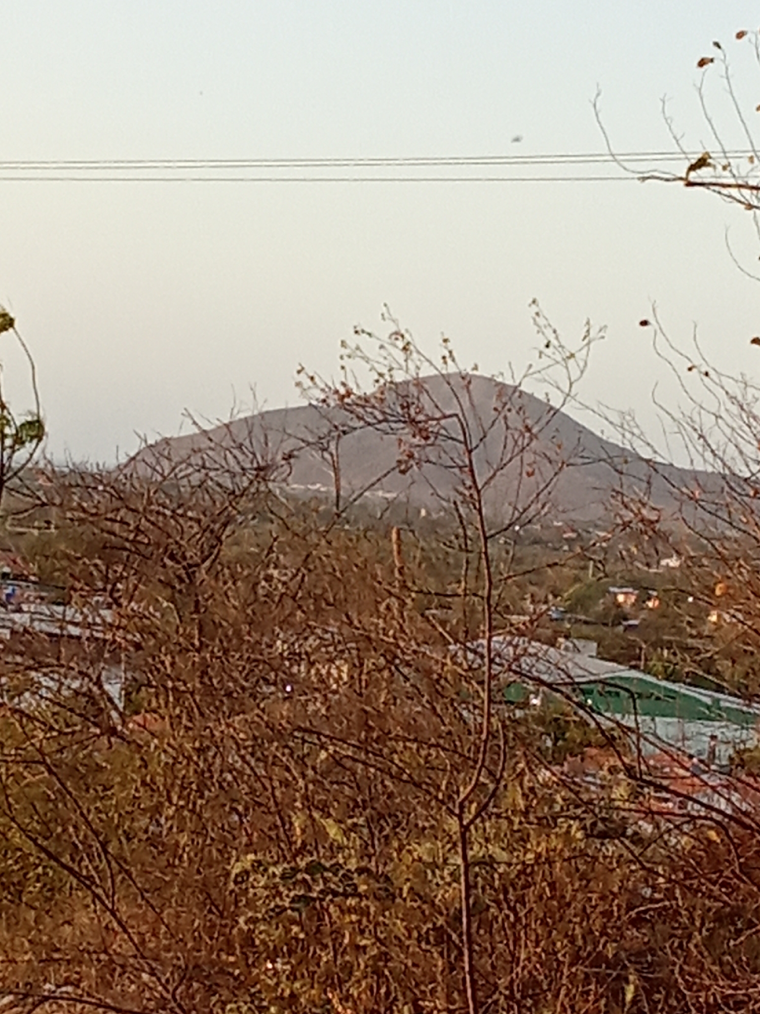 The image shows a view of a mountain in Juan Griego, Venezuela, obscured by trees in the foreground. The mountain is light brown and rises behind a cluster of buildings and dense vegetation. A power line stretches across the top of the frame against a pale sky. The foreground is filled with the intricate branches of dry trees and foliage. A glimpse of the town can be seen amidst the trees.