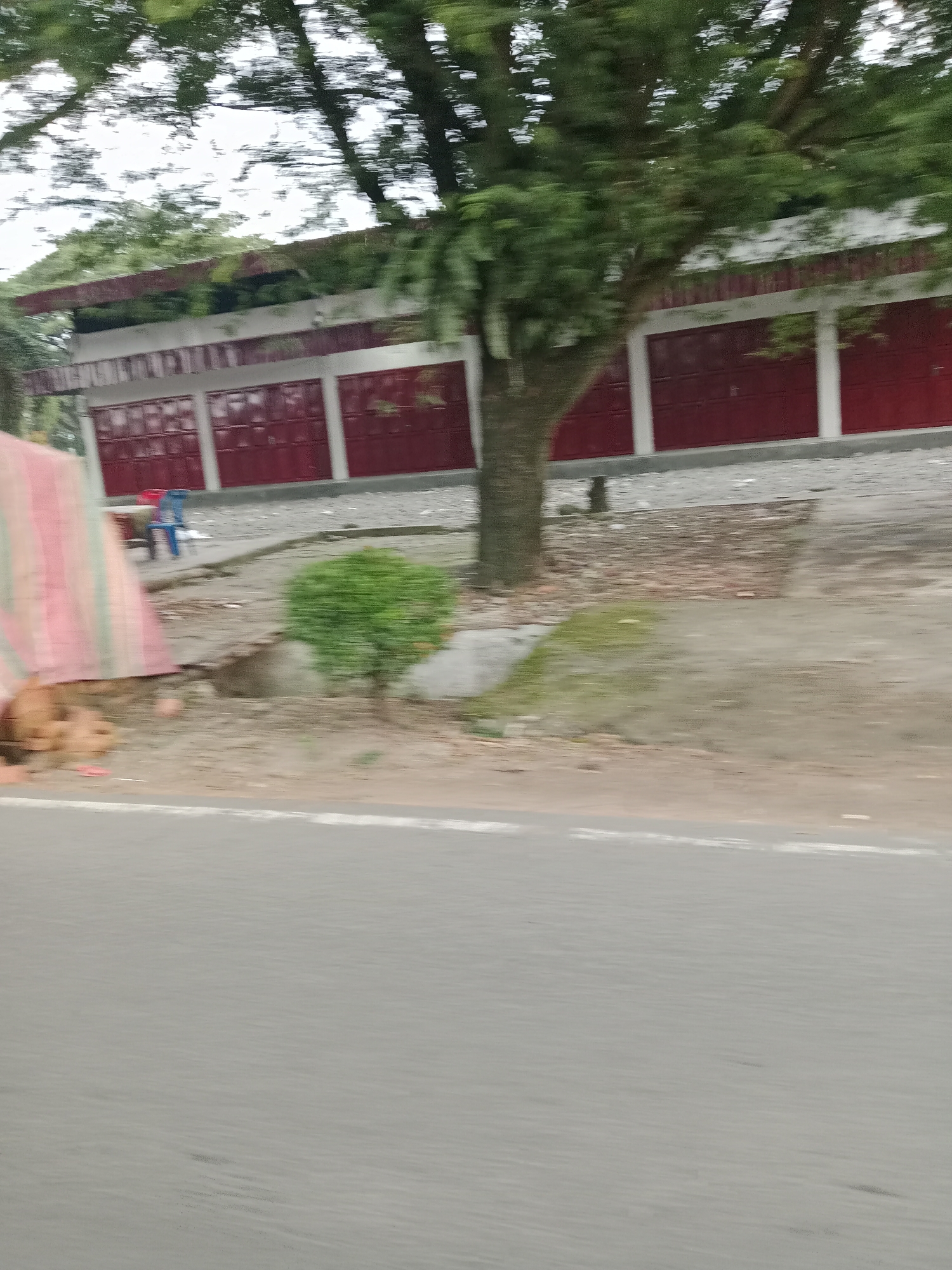 The image depicts a street scene in the City of Binjai, Indonesia. In the background, a building with a red facade and white trim is visible. Adjacent to the building, a tree with green foliage stands. In the foreground, a portion of a gray asphalt road with a white stripe is present. On the left side of the image, a pink and green striped tent-like structure is partially visible, with some brown objects on the ground beneath it. A small green shrub is also present in the midground. The image appears to be taken from a moving vehicle, resulting in motion blur.