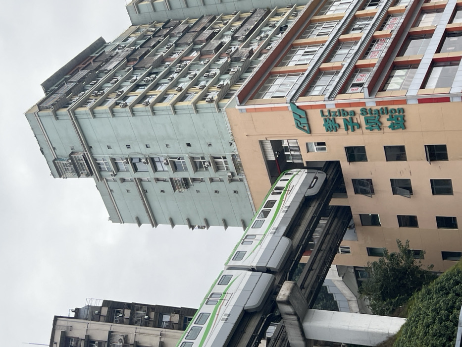 A monorail train travels through a building labeled "Liziba Station." The train is white with a green stripe. The building on the left has many windows with air conditioning units. The sky is overcast. Part of another building and green bushes are visible in the bottom right. The image is rotated clockwise.