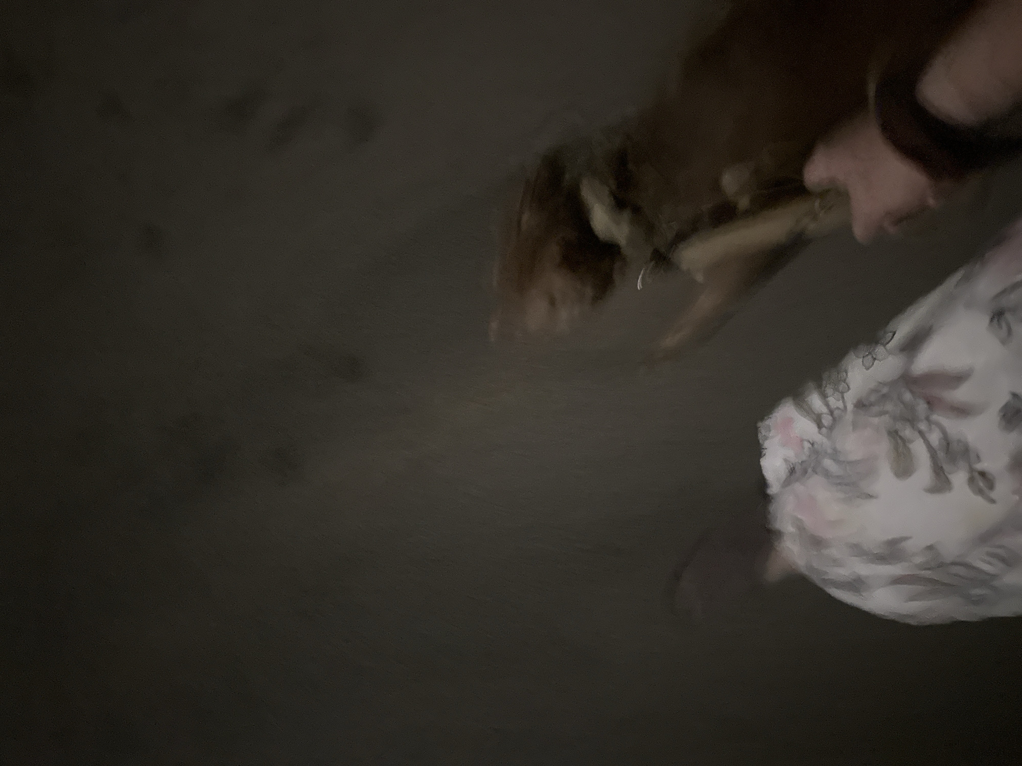 In a dimly lit, out-of-focus indoor environment, possibly a dwelling in Malevo, Bulgaria, two figures are partially visible. On the right, a blurred, medium-brown canine is positioned, appearing to be either standing or in motion. Its head is turned away from the camera, and a light-colored collar is discernible around its neck. Partially obscuring the canine, a human arm extends into the frame from the lower right, adorned with a dark wristband. The hand is bent at the wrist. To the left of the canine, another figure is visible, draped in a white garment patterned with delicate floral designs in shades of pink and gray. The figures' interaction or activity is unclear due to the motion blur. The background is a uniform, dark, textured surface, suggesting a wall or floor.