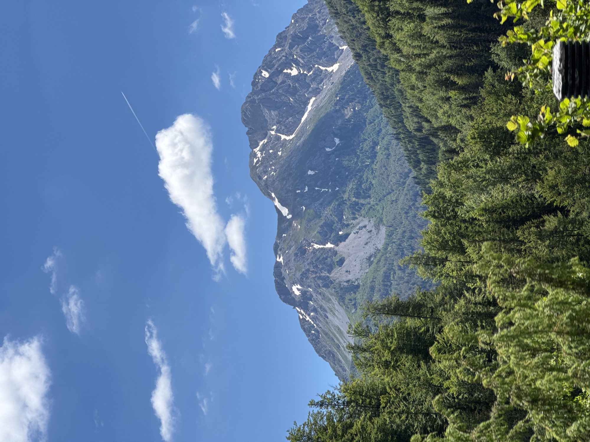 A majestic, rugged mountain peak dominates the background of this landscape photograph. The mountain's summit and upper slopes are dusted with patches of snow, contrasting with the grey rock and scree. The lower slopes are densely covered in lush green forest. In the foreground, a thick canopy of vibrant green trees fills the lower half of the frame, creating a natural frame for the mountainous scene. The sky above is a clear, bright blue, punctuated by a few fluffy white clouds. A thin, white contrail from an airplane streaks diagonally across the upper right portion of the sky. The scene depicts a beautiful, natural environment, likely in a mountainous region. The city of Bare Kraljske, Montenegro, is a village situated in a mountainous area, known for its natural beauty and hiking opportunities. Therefore, this image likely depicts the natural scenery in or around Bare Kraljske. There are no people or animals visible in the image. The lighting suggests it is daytime, with clear weather conditions.