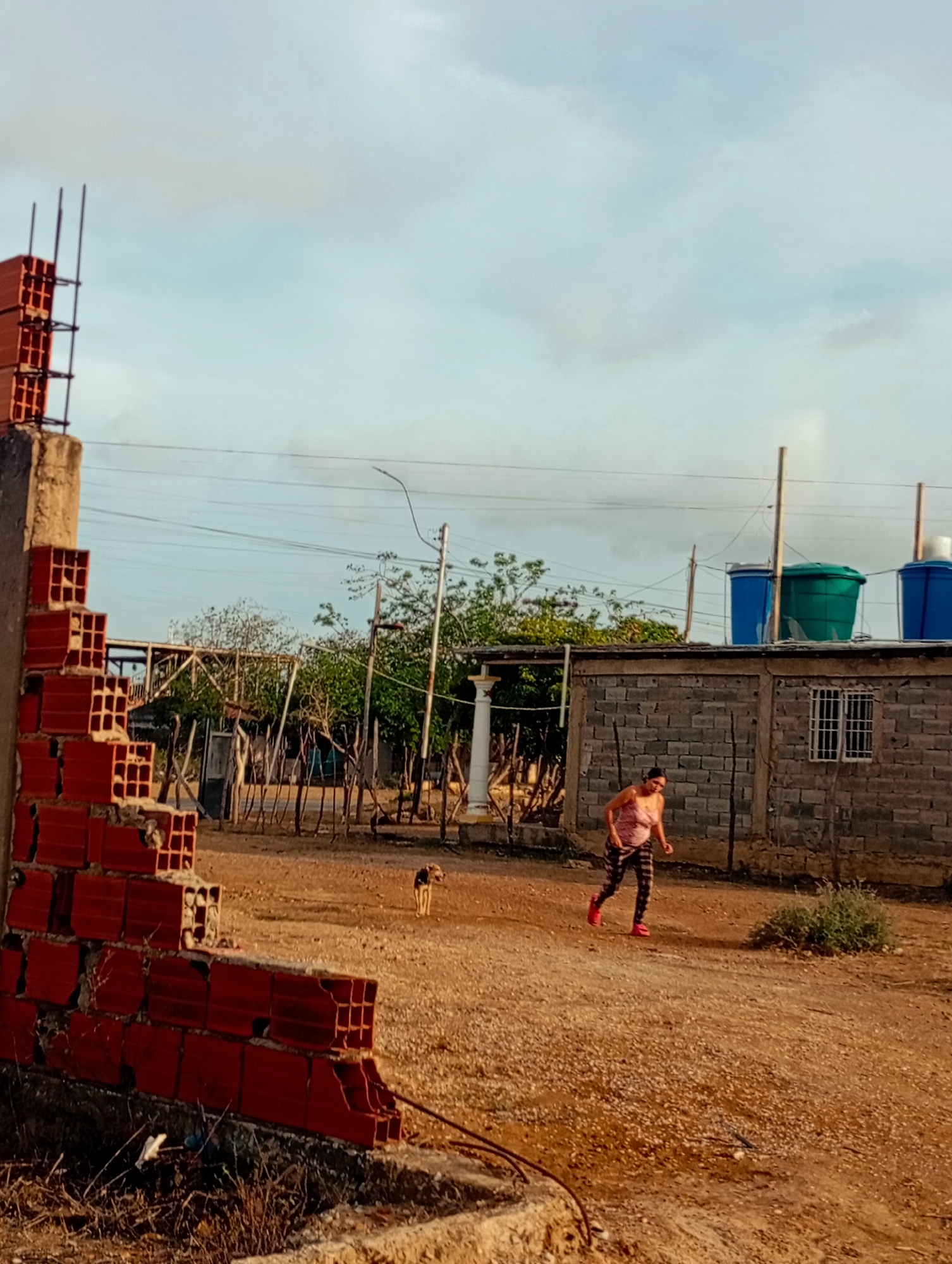 In Altagracia, Venezuela, under a cloudy sky, a person in a pink tank top and patterned leggings is jogging across a dusty, unpaved area. They are moving from right to left in the frame. A small brown dog stands in the middle ground, facing the jogger. In the background, a low-lying building constructed from grey concrete blocks has a corrugated metal roof. On top of the roof are three large water tanks, two blue and one green. To the left of the building, a partially constructed brick structure, composed of red hollow bricks stacked haphazardly, stands prominently in the foreground. The surrounding environment appears dry and somewhat neglected, with sparse vegetation and evidence of ongoing construction.