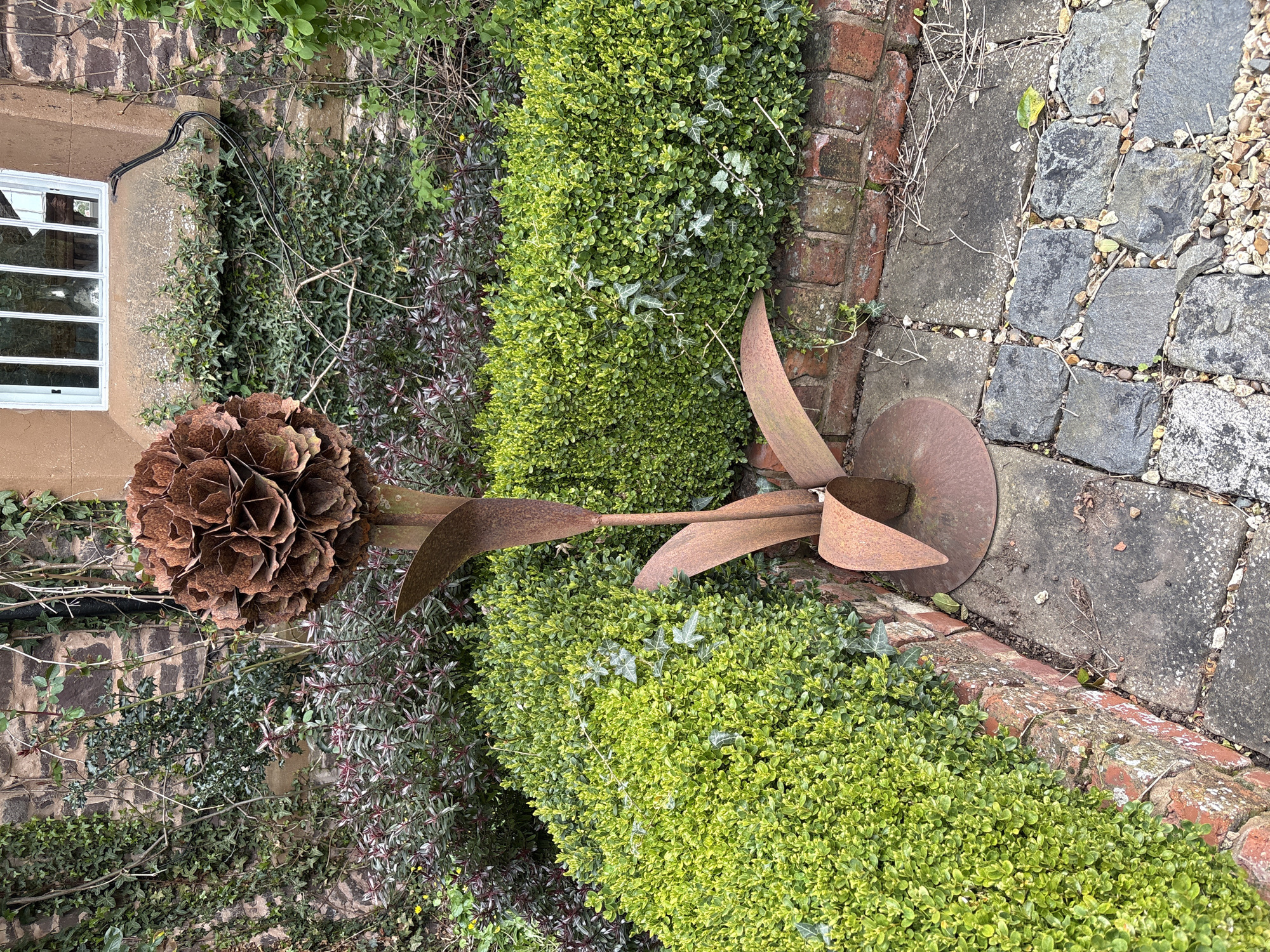 The image captures a garden scene in Pulverbatch, United Kingdom. A rusted metal sculpture of a flower and its leaves stands prominently amidst a well-maintained garden. The garden features neatly trimmed boxwood hedges, a brick border, and a stone pathway. The backdrop includes a building with a window. The overall impression is one of a tranquil, well-kept space with artistic elements.