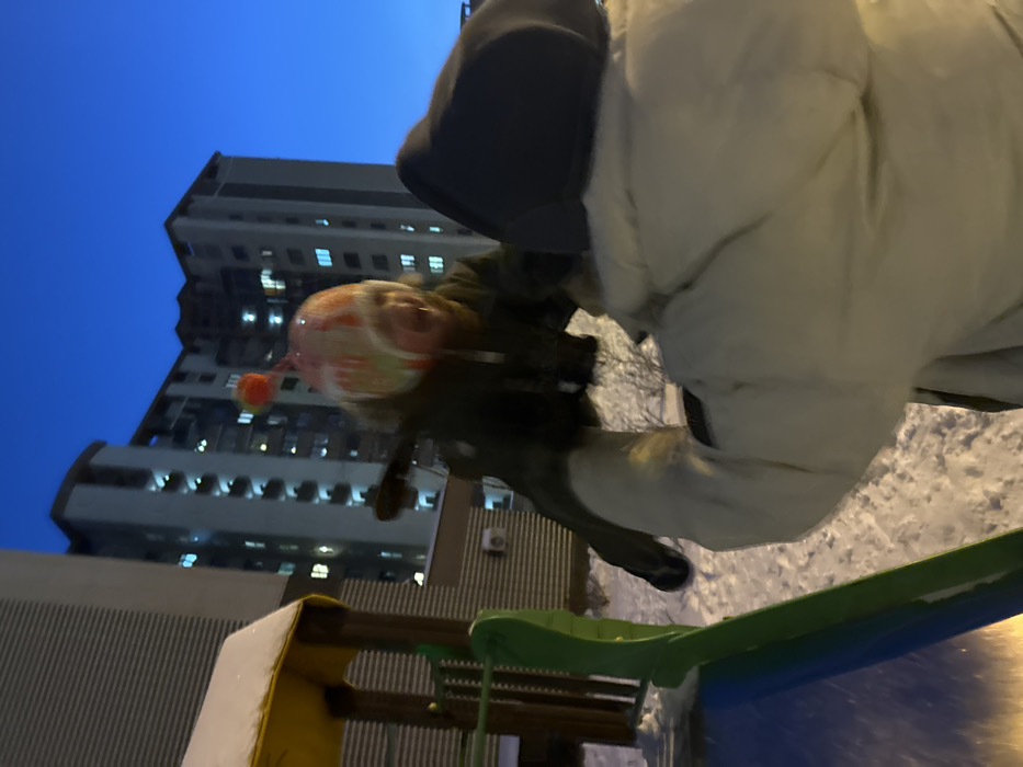 The scene depicts an outdoor winter environment at dusk or early night, characterized by a deep blue sky and snow-covered ground in a residential area of Odintsovo, Russia. In the immediate foreground, the back of an individual wearing a light-colored, possibly white, hooded winter jacket is visible, with their arms extended upwards. This individual is actively lifting a child into the air. The child, suspended mid-frame, wears a dark winter coat and a multi-colored winter hat adorned with a prominent orange pom-pom. The child's mouth is open, indicative of a vocalization. To the left, a green and blue playground slide is partially visible, also dusted with snow, alongside a yellow-roofed structure, part of a larger playground assembly. In the background, multiple tall, multi-story residential apartment buildings are visible, with several windows illuminated, indicating interior occupancy.