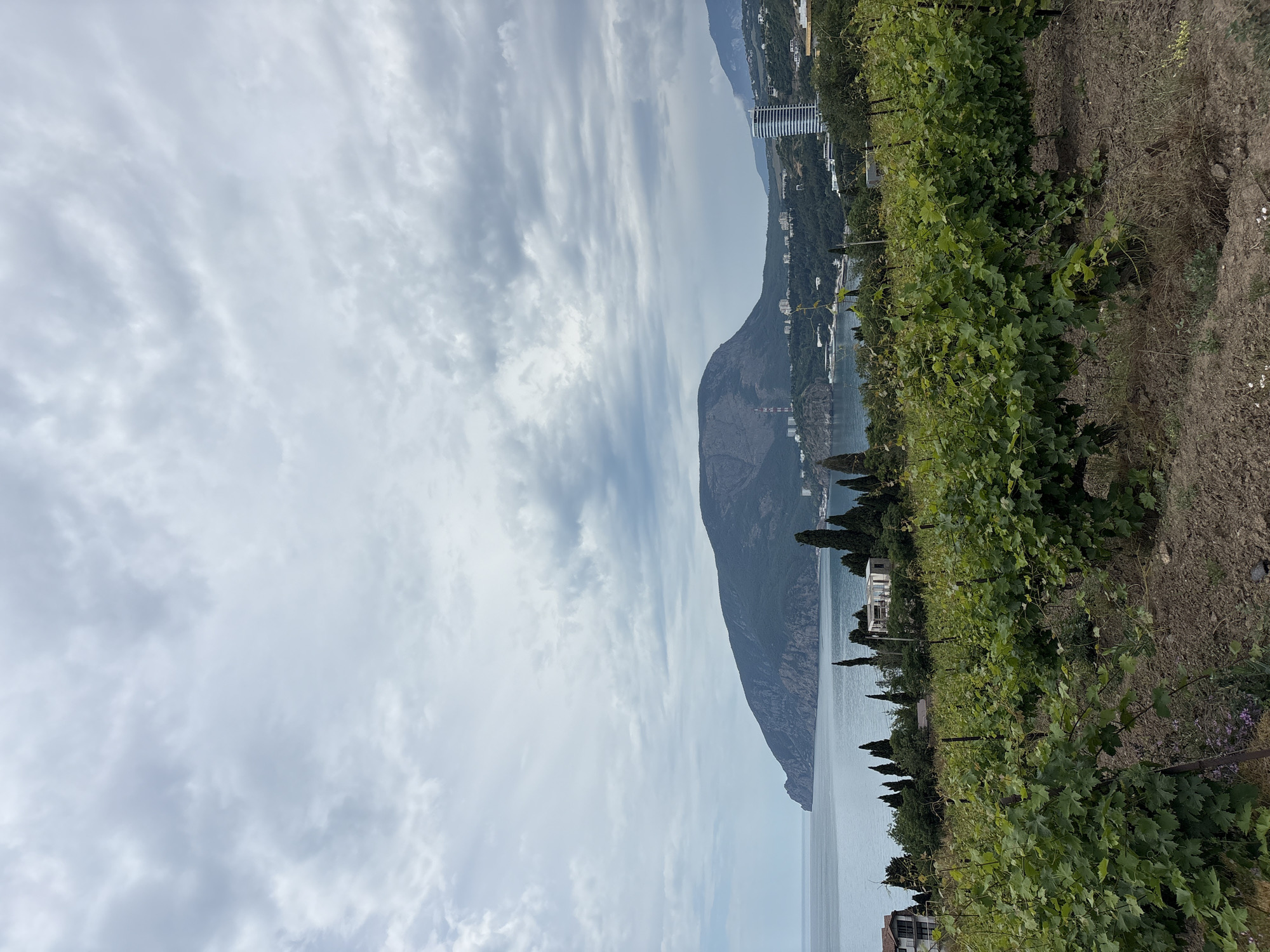 The image depicts a coastal landscape under a cloudy sky. In the foreground, a vineyard with lush green grapevines occupies the lower portion of the frame. Beyond the vineyard, the sea stretches to the horizon, meeting a prominent, rounded mountain in the distance. Along the coastline, scattered buildings, including residential structures and a modern, cylindrical high-rise building, are visible amongst trees. The overall scene suggests a view from a vineyard overlooking the sea and a coastal town. The location is identified as Pushkino, Ukraine.