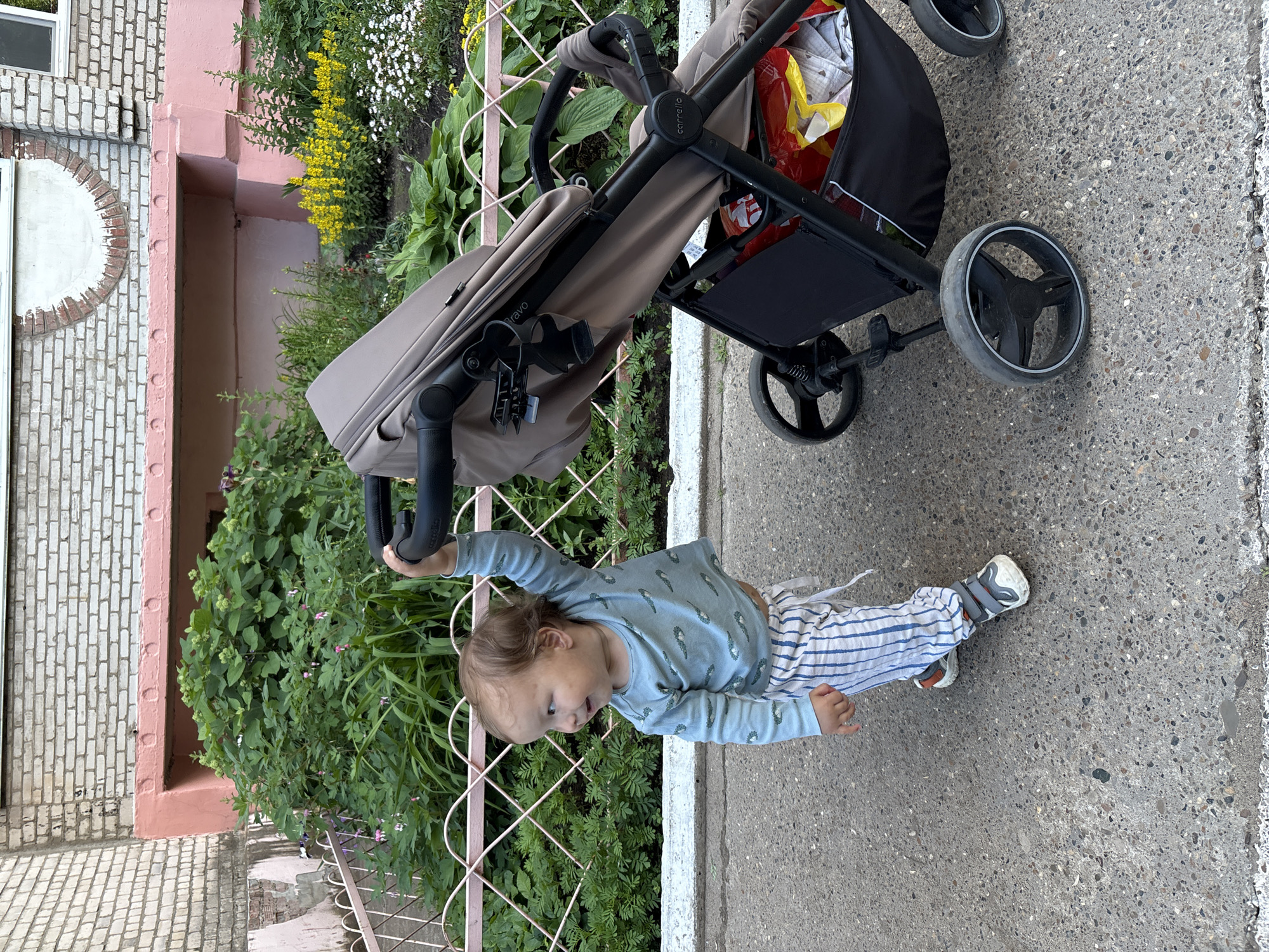 A toddler with light brown hair, wearing a light blue long-sleeved shirt with a pattern of small green objects and striped pants, stands next to a beige stroller. The child is holding onto the stroller's handle with their right hand and looking to the left with a surprised expression. The stroller has a black frame and wheels, and a black storage basket underneath, which contains some red and yellow items. The scene appears to be in an urban outdoor setting, possibly a residential courtyard in Chaikovsky, Russia. Behind the child and stroller is a flower bed with green foliage and a pink metal fence. Further in the background, a building with a brick facade and pink trim is visible. The ground is paved with concrete.