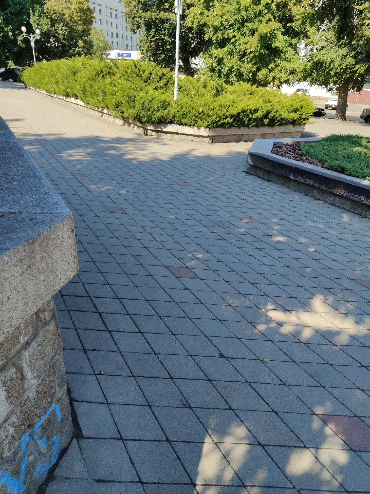 The image shows a paved walkway in Cherkasy, Ukraine. The walkway is made of gray square tiles laid in a diamond pattern, with some reddish-brown tiles interspersed. The walkway curves to the right, leading past a raised flower bed filled with dense green bushes. Beyond the bushes, a white building with multiple windows is visible, and trees with lush green foliage are scattered throughout the scene. The ground is partially covered in sunlight and shadow, indicating it is daytime. A stone wall with blue graffiti is visible on the left side of the walkway. Cars are parked on a road in the background, and streetlights are present.