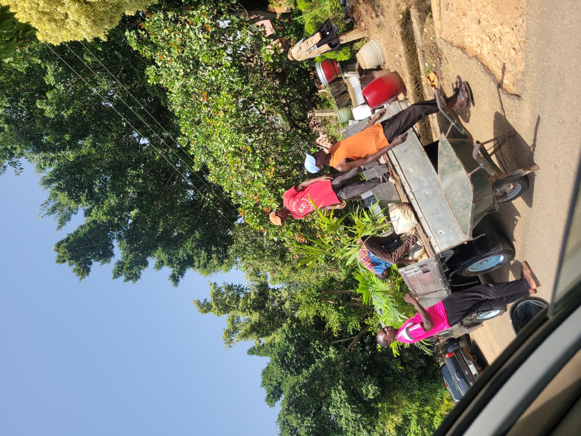 In Jos, Nigeria, on a sunny day, several men are engaged in moving potted plants. A flatbed truck is parked on the side of a dirt road, laden with various plants and gardening supplies. Three men are actively involved with the truck and its contents. One man, wearing a pink shirt and black pants, stands beside the truck, looking towards the left. Another man in a red shirt and dark pants stands on the truck bed, holding a plant. A third man in an orange sleeveless shirt and black pants is also on the truck bed, facing away from the camera. A wheelbarrow is positioned on the ground near the truck. The surrounding environment is lush with green trees and vegetation, indicating a possibly rural or semi-urban area on the outskirts of Jos.