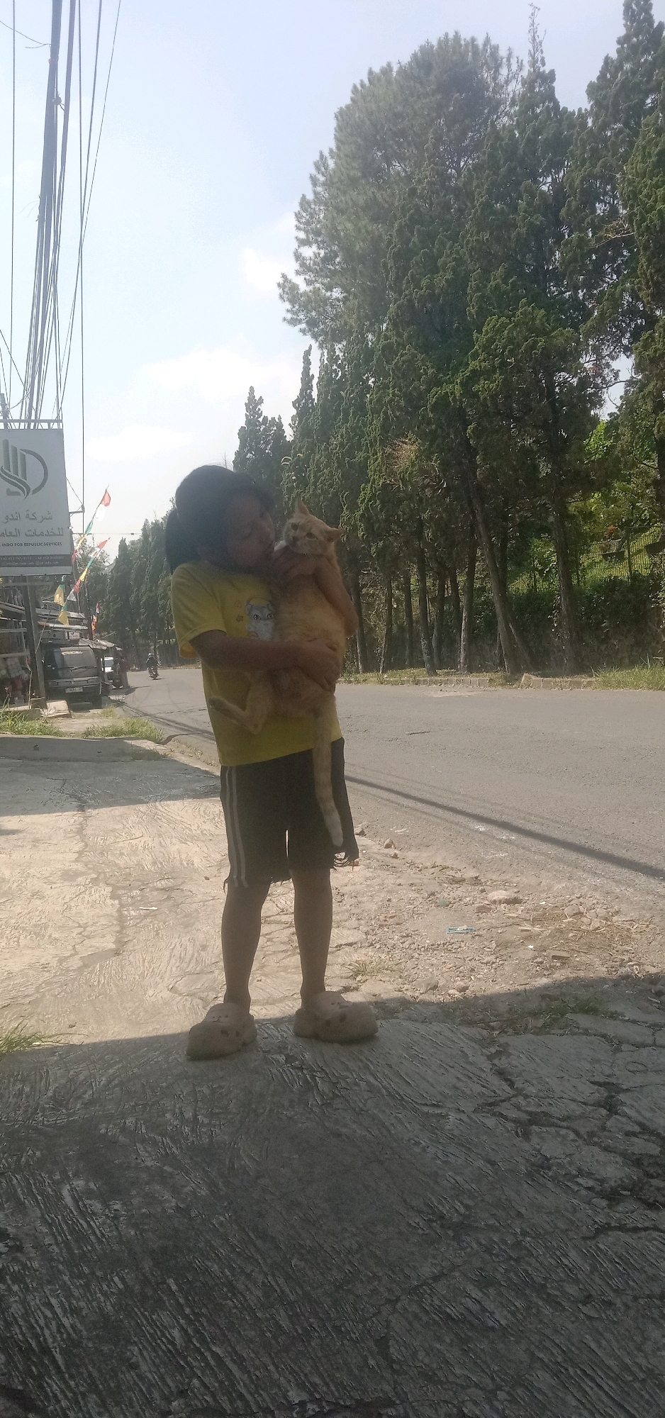In Palasari, Indonesia, a young individual stands on a paved surface, holding an orange cat. The individual wears a yellow t-shirt, dark shorts, and light-colored clogs. The cat is cradled in the individual's arms. Behind them, a paved road stretches out, bordered by a line of tall, slender trees. To the left of the frame, a sign with Arabic text is visible, along with some electrical wires overhead. In the background, a vehicle and a motorcycle are present, suggesting a residential or commercial area. The sky is bright and clear, indicating a sunny day.