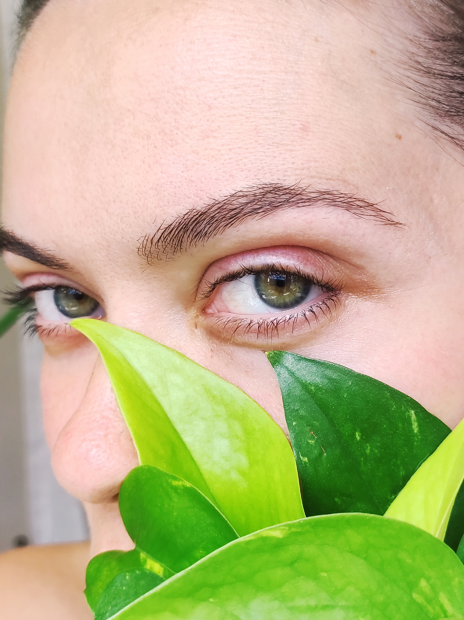 A close-up, eye-level, medium shot captures the left eye of a person, partially obscured by lush green leaves. The person's skin is fair and unblemished. Their left eye, with a green iris, is open and looking to the left. The right eye, also open, is visible in the background, looking forward. The eyebrows are dark and well-defined. The leaves are vibrant green, with some showing lighter yellow variegation. The background is blurred and light-colored, suggesting an indoor setting. The scene is calm and serene, with a focus on the natural beauty of the leaves and the person's eye.
