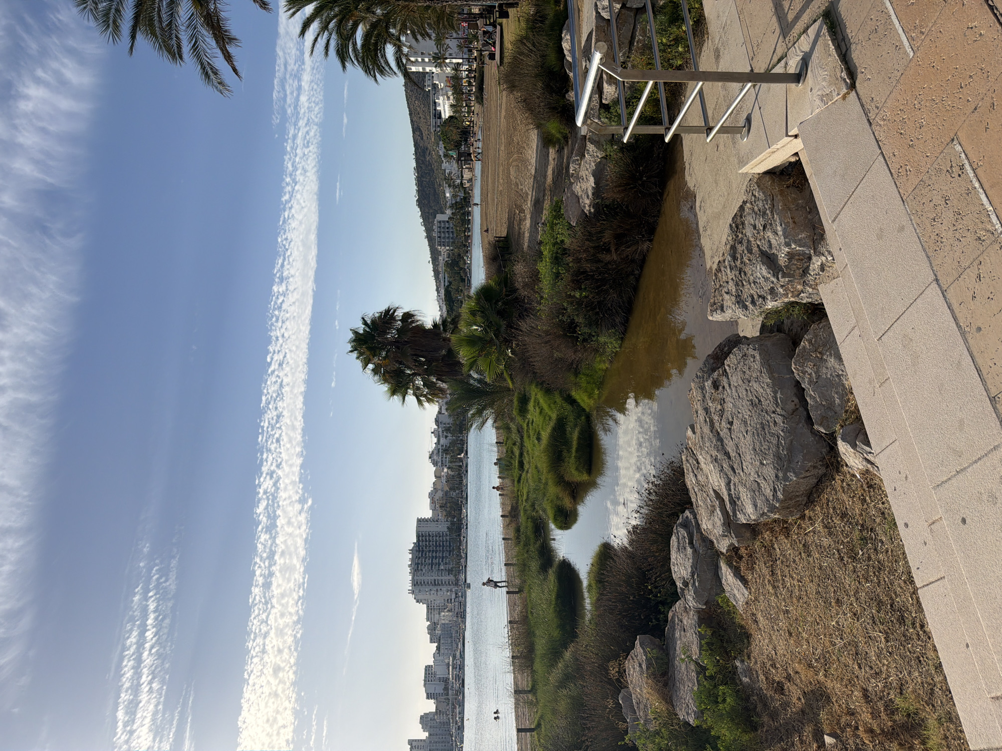 The image shows a view of the bay of Sant Antoni de Portmany, Spain, with a sandy beach and a line of buildings in the background. In the foreground, there is a small, muddy pond surrounded by green vegetation and rocks. A metal railing is visible on the right side of the image, next to a stone staircase. Several people are walking on the beach and in the water. The sky is blue with some wispy white clouds, and palm trees are visible on the right side of the image.