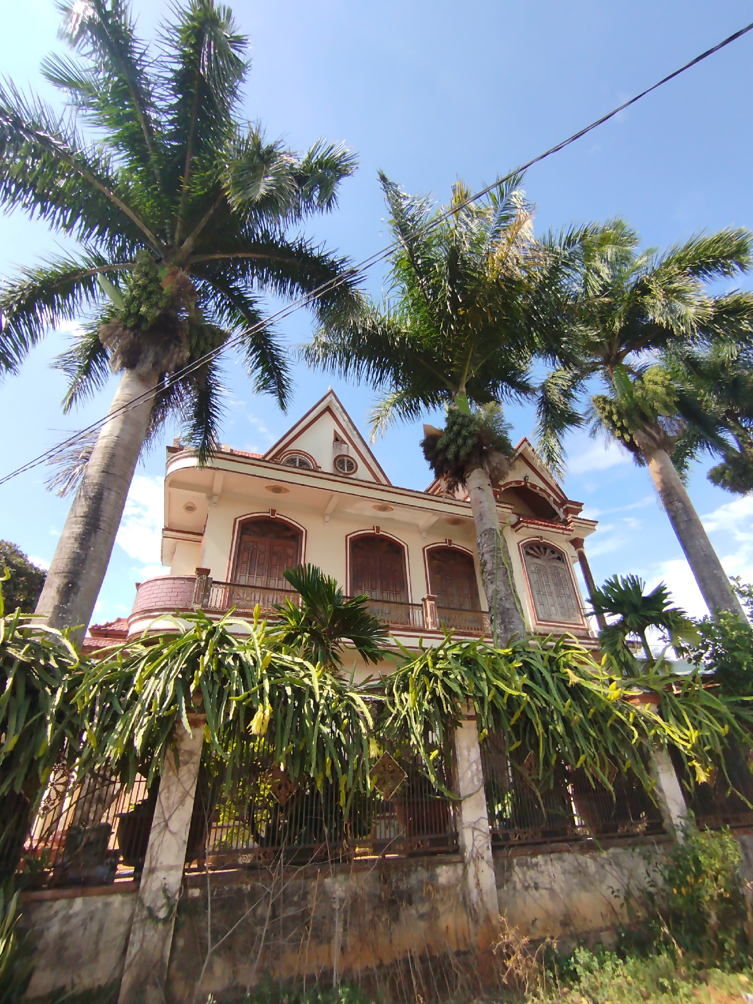 The image shows a two-story building in An Phu Ward, Vietnam. The building is painted in light colors with dark trim. It features a balcony, arched windows, and a pointed roof. The building is partially obscured by three tall palm trees. In front of the building, a fence is covered by green, hanging vegetation. There are power lines visible in the sky. The sky is blue with some clouds. The camera angle is looking upwards. The day seems sunny.