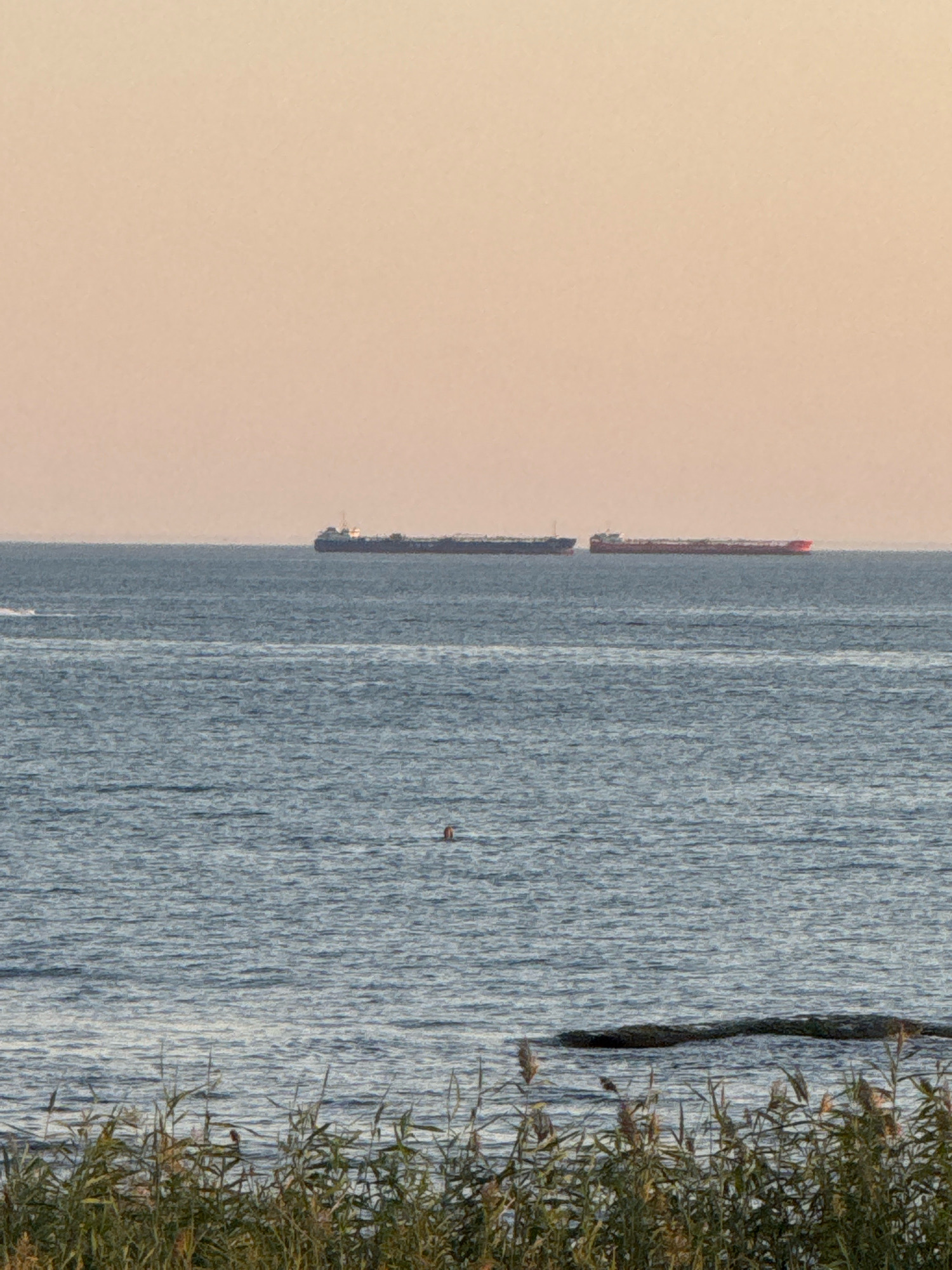An image taken from a low angle shows a body of water with a hazy horizon. Two cargo ships are visible on the water, one dark gray and the other reddish-brown, both elongated. In the mid-ground of the water, a small, dark object, possibly a person swimming, is present. In the foreground, tall, green reeds and grasses grow along the bank. The sky is a pale, peachy-orange hue, suggesting either sunrise or sunset. The scene is likely a coastal area of Aktau, Kazakhstan, given the context.