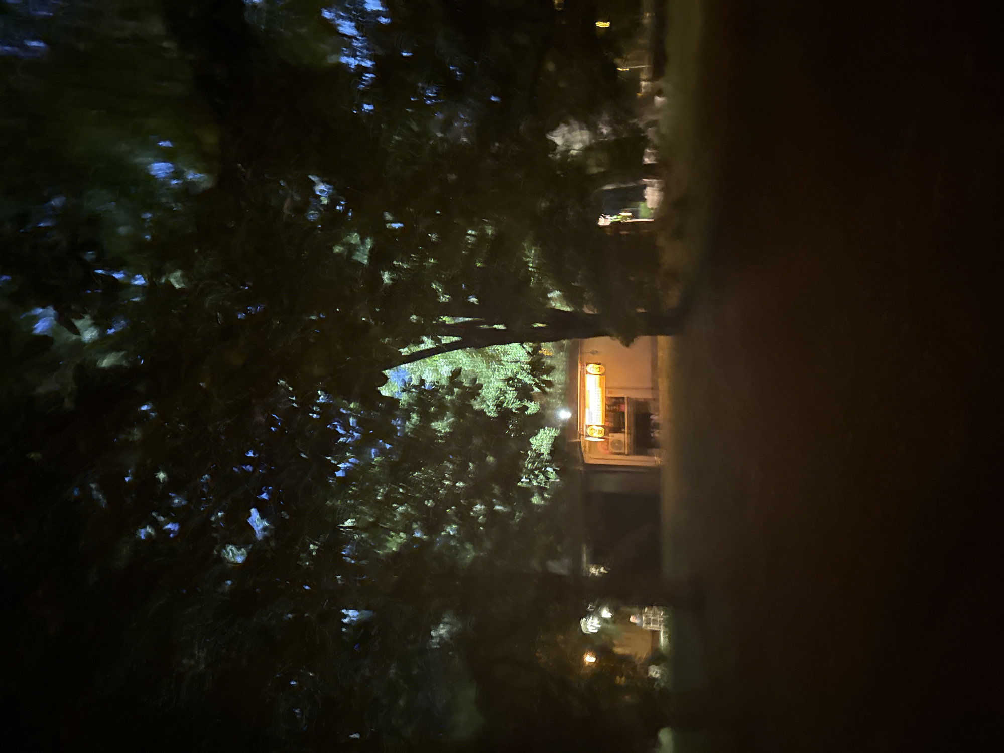 A dimly lit nighttime scene unfolds, focusing on a building with illuminated windows and an outdoor air conditioning unit visible. The building appears to be set back from the foreground, which is dominated by the dark silhouettes of trees with scattered, faint blue and green lights filtering through their foliage. The overall atmosphere is dark and somewhat obscured by the foliage. The scene is devoid of visible people or active events.