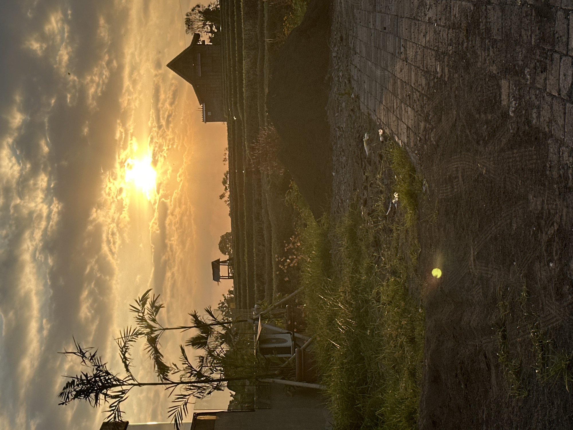 A vertical, eye-level, medium shot shows a sunlit landscape at sunset. The sun is a bright, hazy orb partially obscured by clouds, casting a warm golden glow across the sky and landscape. Silhouetted against the sky are a tall, slender tree with feathery leaves on the left and two palm trees with drooping fronds. In the mid-ground, a terraced landscape of rice paddies recedes into the distance. On the right side of the frame, a large, dark, conical pile of soil sits prominently. A dark, pitched-roof building with multiple windows is visible in the background, to the right of the soil pile. In the foreground, a patch of green grass is illuminated by the sun's rays. To the right of the grass, a paved walkway made of interlocking rectangular bricks is visible, with some patches of dirt and debris. A small, yellow, spherical object is visible in the dirt patch in the foreground, reflecting the sunlight.