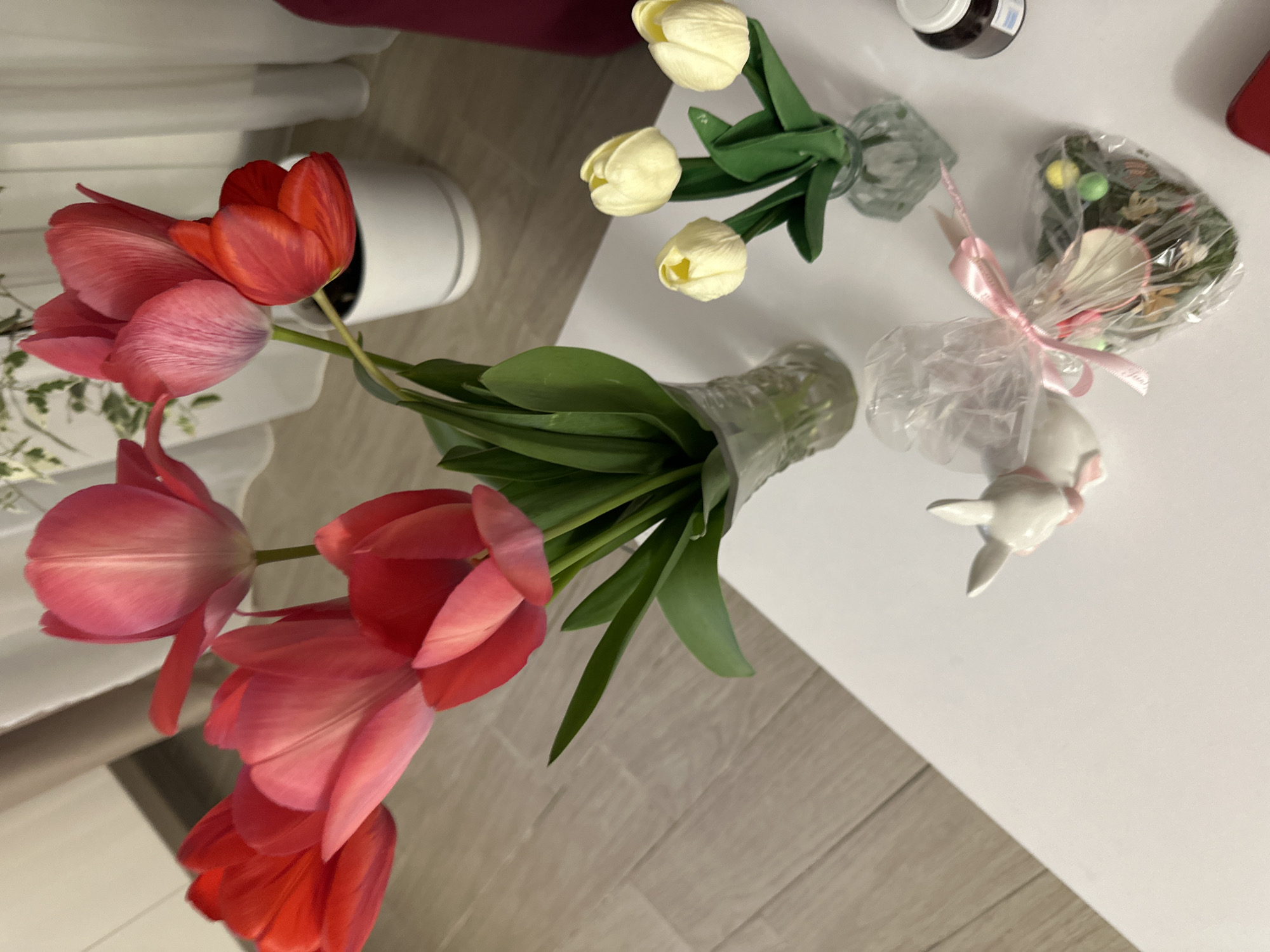 A high-angle shot showcases a still life on a white table. A bouquet of red and pink tulips stands in a white vase, positioned on the left. To the right of the tulips, a smaller bouquet of white tulips is in a clear glass vase. Nearby, there's a small, wrapped gift package secured with a pink ribbon, alongside a white ceramic bunny figurine, also wrapped. A jar with a dark lid is visible in the background. The composition suggests a domestic setting. The scene appears to be indoors, likely within a home or apartment, possibly in Sofia, Bulgaria.