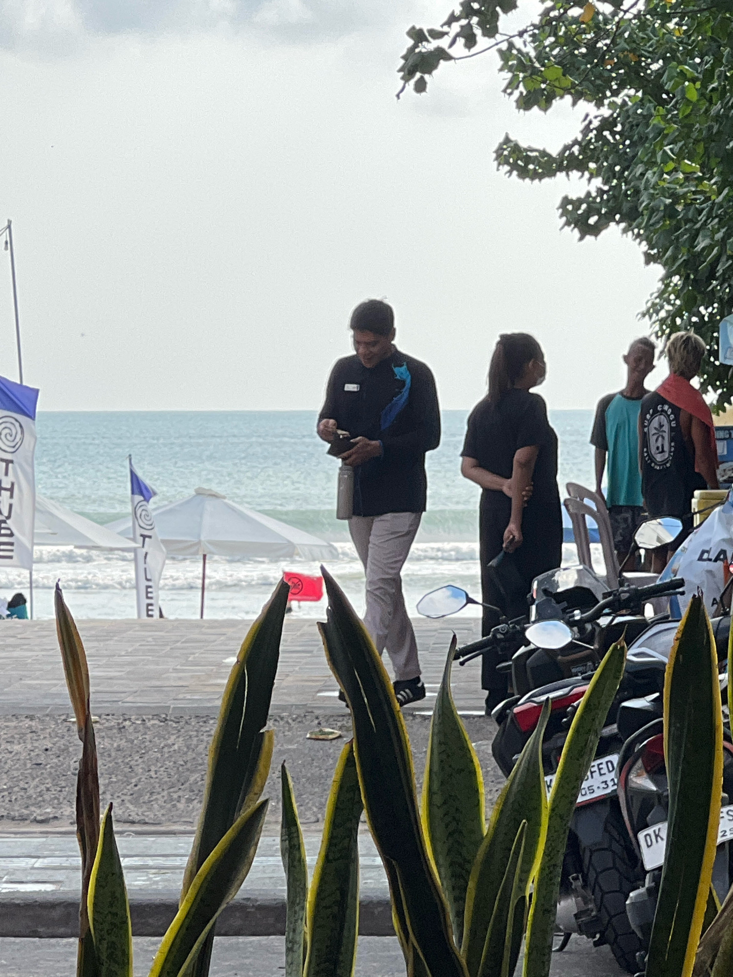 In Kuta, Indonesia, on a overcast day, a group of people are gathered near the beach. In the foreground, snake plants with yellow-green edges create a visual barrier. Behind them, a paved walkway leads towards the ocean, where gentle waves roll onto the sandy shore. Several white beach umbrellas dot the sand, suggesting a recreational area. Two flags with a blue and white spiral design are planted in the sand.
A man in a black shirt and light-colored pants is holding a small black object, possibly a wallet or phone. A woman in a black dress stands with her back to the camera, holding a dark object. To their right, a man in a turquoise shirt and another man in a black t-shirt with a graphic design are visible. A motorcycle, partially obscured by plants, is parked in the middle ground, with a license plate reading "FED 05-31" and "DK 23". The overall atmosphere appears casual and relaxed, typical of a beachside location.