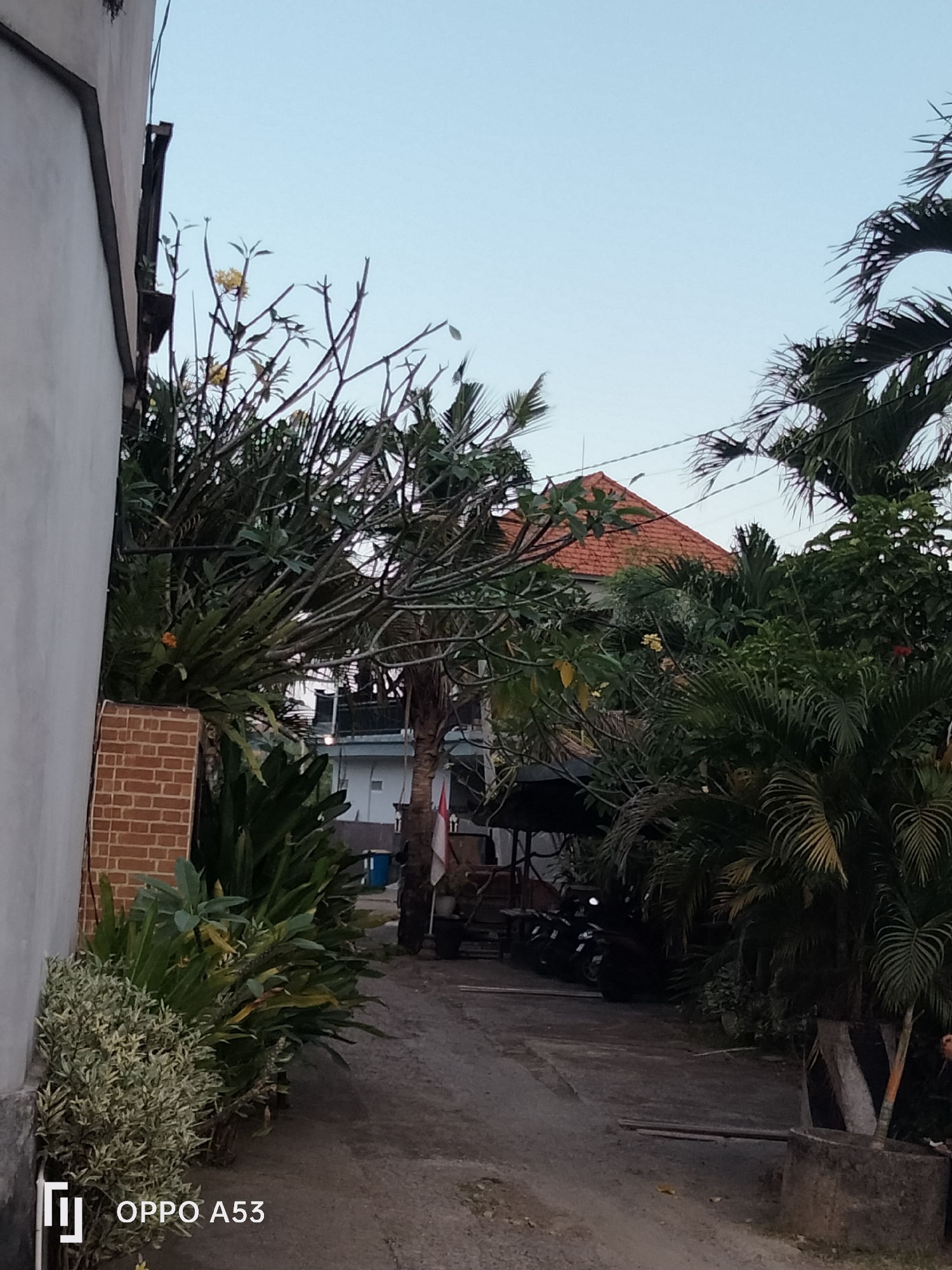 The image captures a view down a narrow dirt road flanked by lush vegetation and buildings in North Kuta, Indonesia. On the left, a light-colored wall of a building runs parallel to the road, adjacent to a brick structure. The foreground features a dense array of green and variegated plants, with a distinct bush of lighter-colored foliage in the lower left corner. The road itself is a dirt path, leading further into the scene.
Further down the road, several motorcycles are parked in a row. Behind them, a building with a red-tiled roof is visible, partially obscured by trees and foliage. The vegetation is abundant, with palm trees and other tropical plants dominating the right side of the image. Power lines are strung across the sky. A partially visible Indonesian flag is mounted on a pole behind the motorcycles. The sky is a clear, pale blue, indicating daylight. The overall impression is of a tropical residential or communal area, with a focus on greenery and a somewhat utilitarian setting.