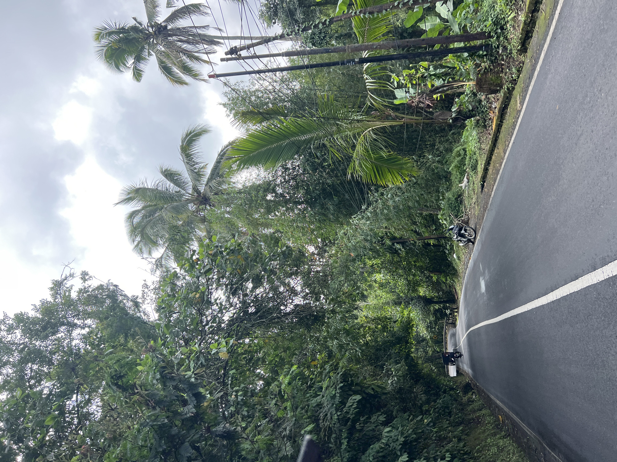 A paved, two-lane road curves through a dense, tropical landscape. Lush green trees and foliage line both sides of the road, with tall palm trees reaching towards a cloudy sky. The road has a white dividing line. In the distance, a vehicle appears to be approaching, and to the right, a motorcycle is parked on the shoulder. Power lines stretch across the scene, supported by wooden poles. The environment suggests a rural setting, possibly in or near Tembuku, Indonesia, given the tropical vegetation and typical road infrastructure.