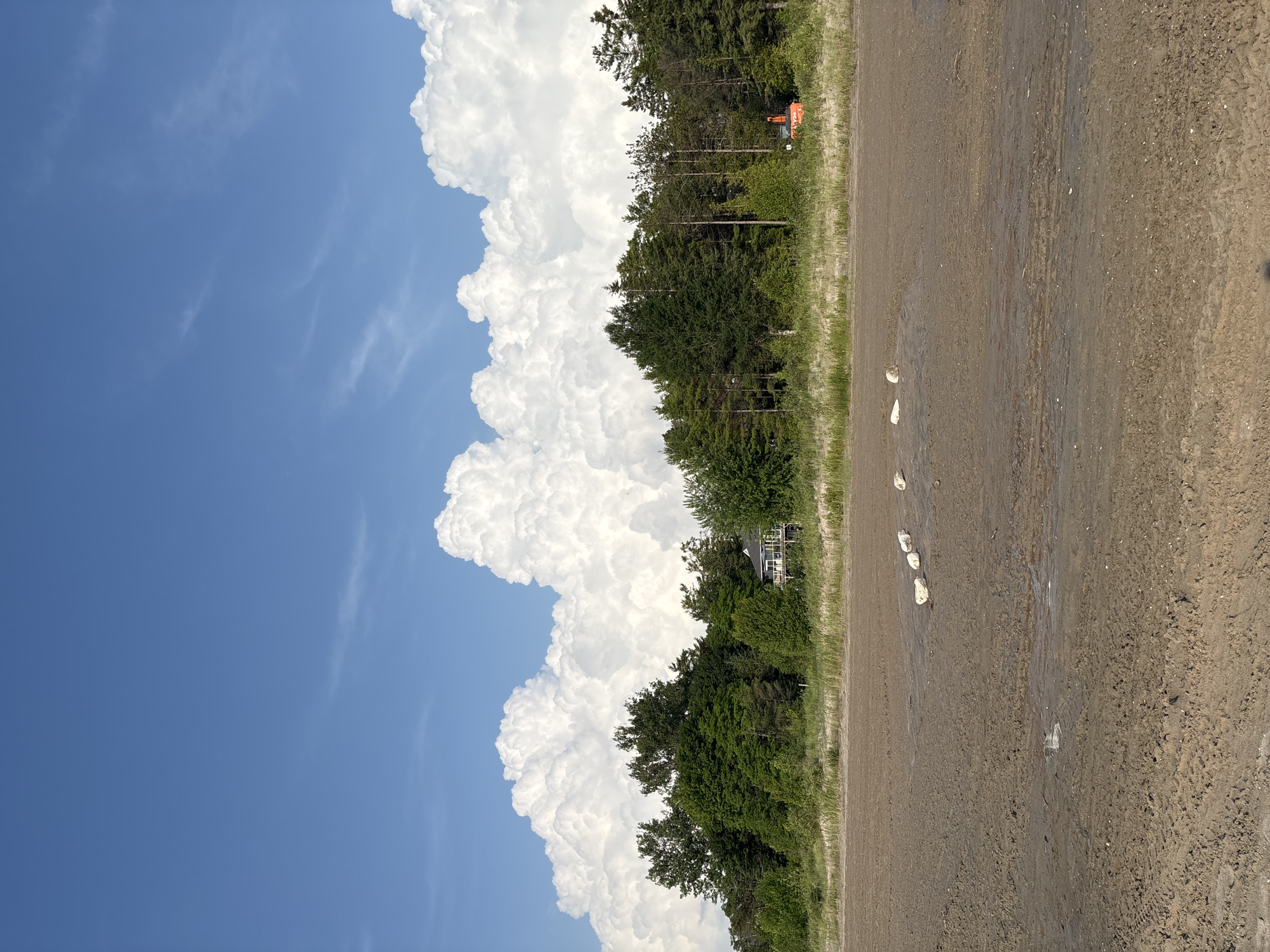 A wide-angle, eye-level shot captures a tranquil scene on the beach of Wasaga Beach, Canada. The foreground is dominated by the sandy, wet terrain of the beach, marked by tire tracks and scattered white stones. A line of white stones is visible, arranged in a diagonal line across the wet sand. In the middle ground, a strip of dry grass separates the beach from a dense forest of green trees. A light-colored house with a dark roof is nestled among the trees on the left side of the image, and an orange construction vehicle is visible on the right. The background is a dramatic expanse of a bright blue sky filled with large, puffy white clouds that dominate the upper half of the frame, hinting at a summer day.