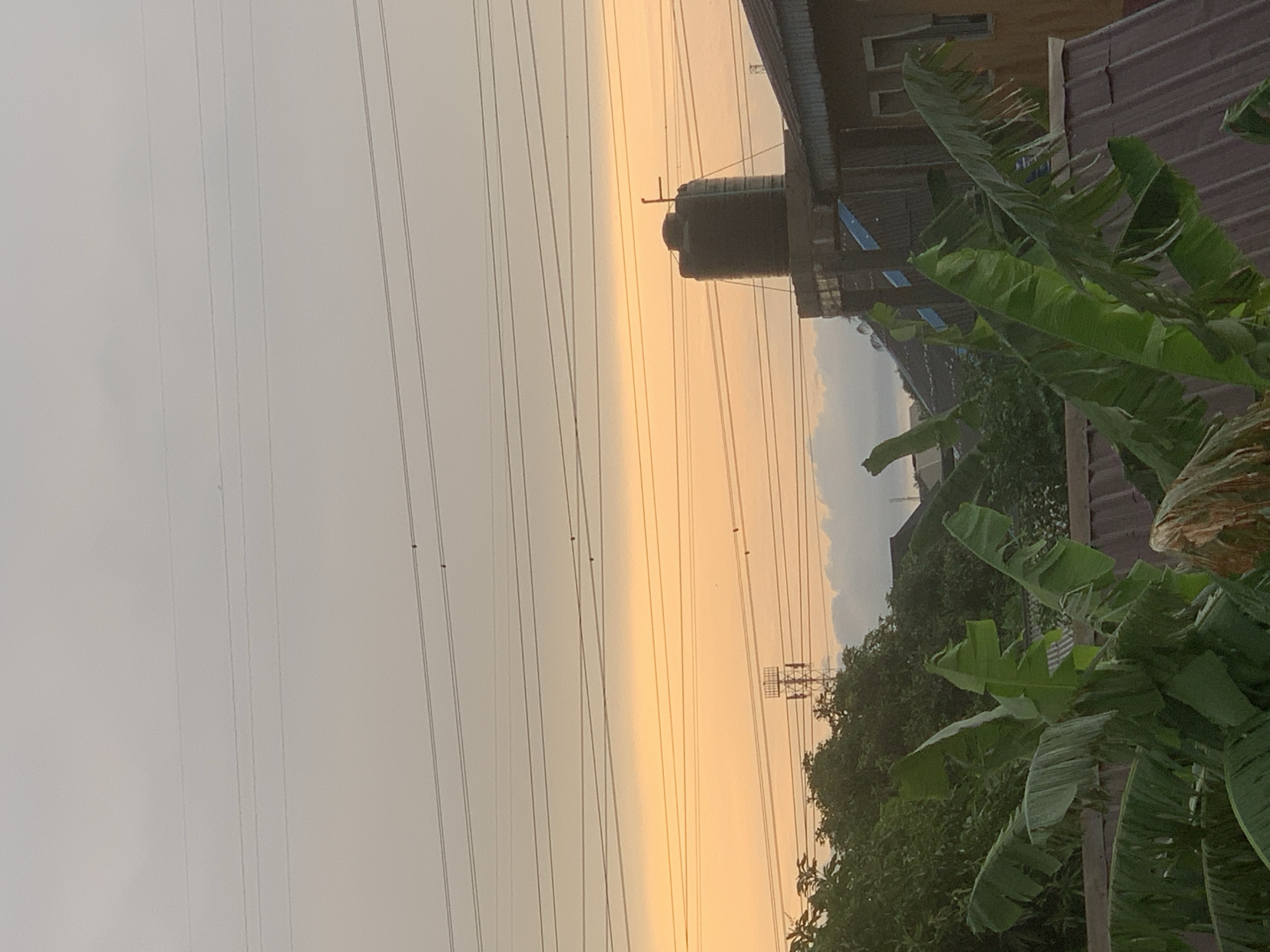 The image depicts an outdoor scene in Ikorodu, Nigeria, captured during twilight. The sky displays a gradient of light yellow to grey. Prominent are several high-tension power lines stretching across the frame. In the background, there are buildings with a water tank visible on one rooftop. Lush green foliage, including banana trees, dominates the right side of the image. An electrical tower is partially visible amidst the trees.