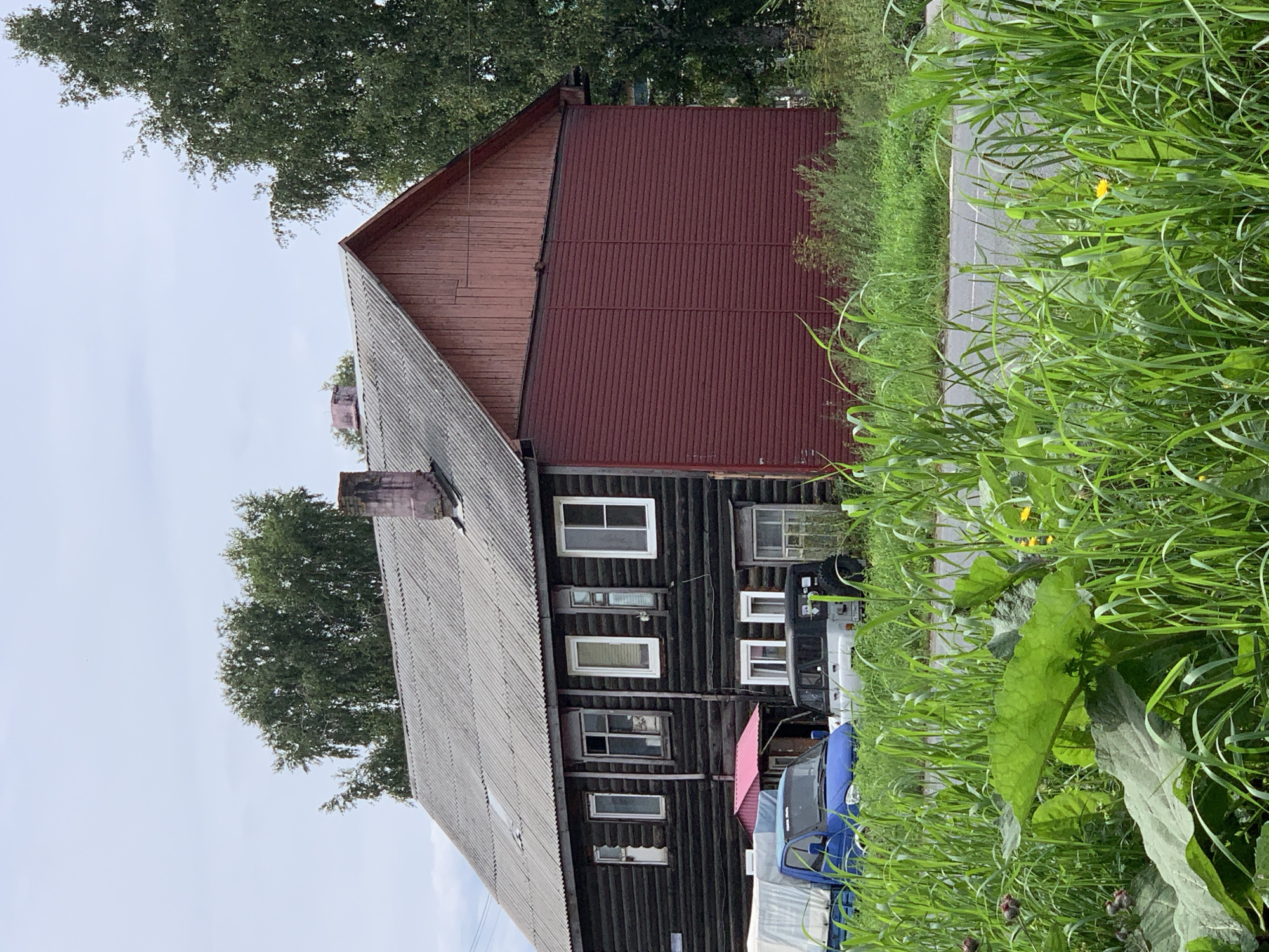 The image depicts a weathered, dark wooden two-story house with a corrugated metal roof. The lower section of the right side of the house is covered in dark red horizontal siding. A pink awning is visible above a doorway. In front of the house, a blue truck with a white cover is parked to the left, and a dark-colored SUV is parked to the right. Tall green grass and some large-leafed plants dominate the foreground, obscuring the lower portion of the vehicles and the base of the house. The background features a dense cluster of green trees and a cloudy sky. The image is taken from a low angle, looking up at the house. The scene appears to be in a rural or semi-rural area.