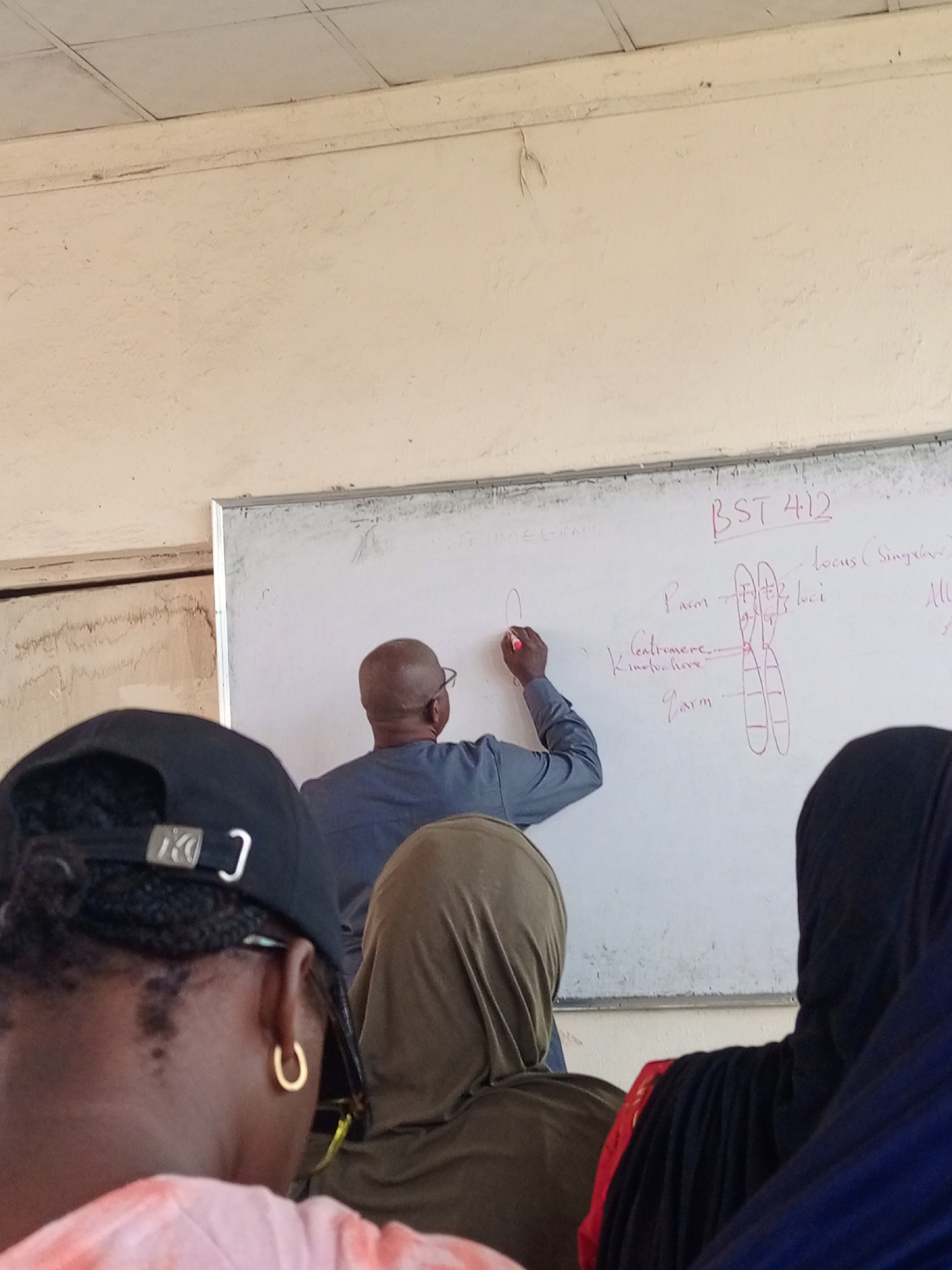 The image depicts an active classroom or lecture hall scene, viewed from the perspective of a student seated among others. In the center, a male instructor, bald and wearing glasses and a long-sleeved grey or blue shirt, is seen from behind as he writes on a large white whiteboard with a red marker.
The whiteboard displays a lesson in what appears to be genetics or cell biology. Prominently written at the top right is "BST 412," likely a course code. The instructor has drawn a detailed diagram of a chromosome, labeling its components such as "P arm," "q arm," "Centromere," and "Kinetochore." Beside the chromosome diagram, other relevant terms like "locus (Singular)," "loci," and "Allele" are clearly written. Faint, partially erased text on the far left suggests the word "INTEGRATION."
In the foreground, the backs of several students' heads are visible. The closest student wears a black baseball cap with a silver rectangular buckle, showing braided hair and a distinctive gold hoop earring. To their right, another student is wearing an olive green head covering or hijab. A third student, partially visible on the far right, also wears a dark head covering and a garment with a red accent.
The room features plain, light-colored walls and a ceiling constructed from rectangular panels. The overall atmosphere suggests a focused learning environment during a daytime academic session, though the exact time and external weather conditions are not discernible.