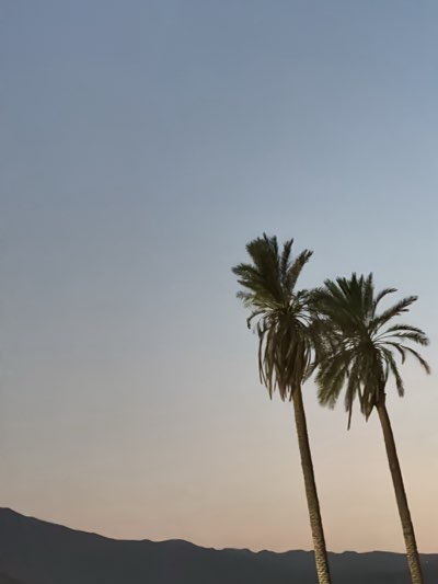 The image features two palm trees set against a backdrop of a mountain range and a gradient sky. The sky transitions from a pale blue at the top to a warm, light orange-yellow near the horizon. The mountains are a dark, muted color, forming a horizontal base for the composition. The palm trees, positioned on the right, are tall and slender. The location is Indio, United States.