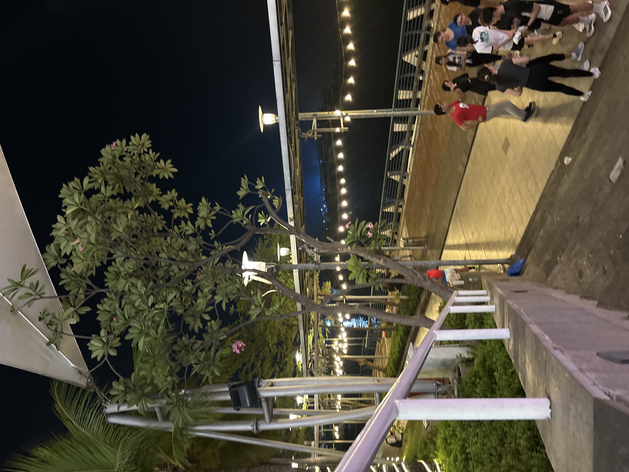 The image captures a nighttime scene at Ancol Beach City, North Jakarta, Indonesia, featuring a waterfront promenade with several people. A prominent tree with green foliage and a few pink flowers stands near the foreground. Along the promenade, a string of yellow lights is visible, illuminating the path.
Several individuals are present. In the mid-ground, a man in a red shirt and grey pants is running, while a group of people stands in conversation or observing. To the right, a woman in a black top and leggings is standing, facing away from the camera. Further to the right, a group of people, including one in a white t-shirt and another in a black and white t-shirt, are gathered. The promenade is paved with light-colored tiles. A railing with white vertical supports and a purple top runs along a raised area to the left, separating it from a grassy area with lush green bushes. The background features a dark body of water, likely the sea, with distant city lights reflecting on its surface. The overall atmosphere is one of an outdoor evening gathering or recreational activity.