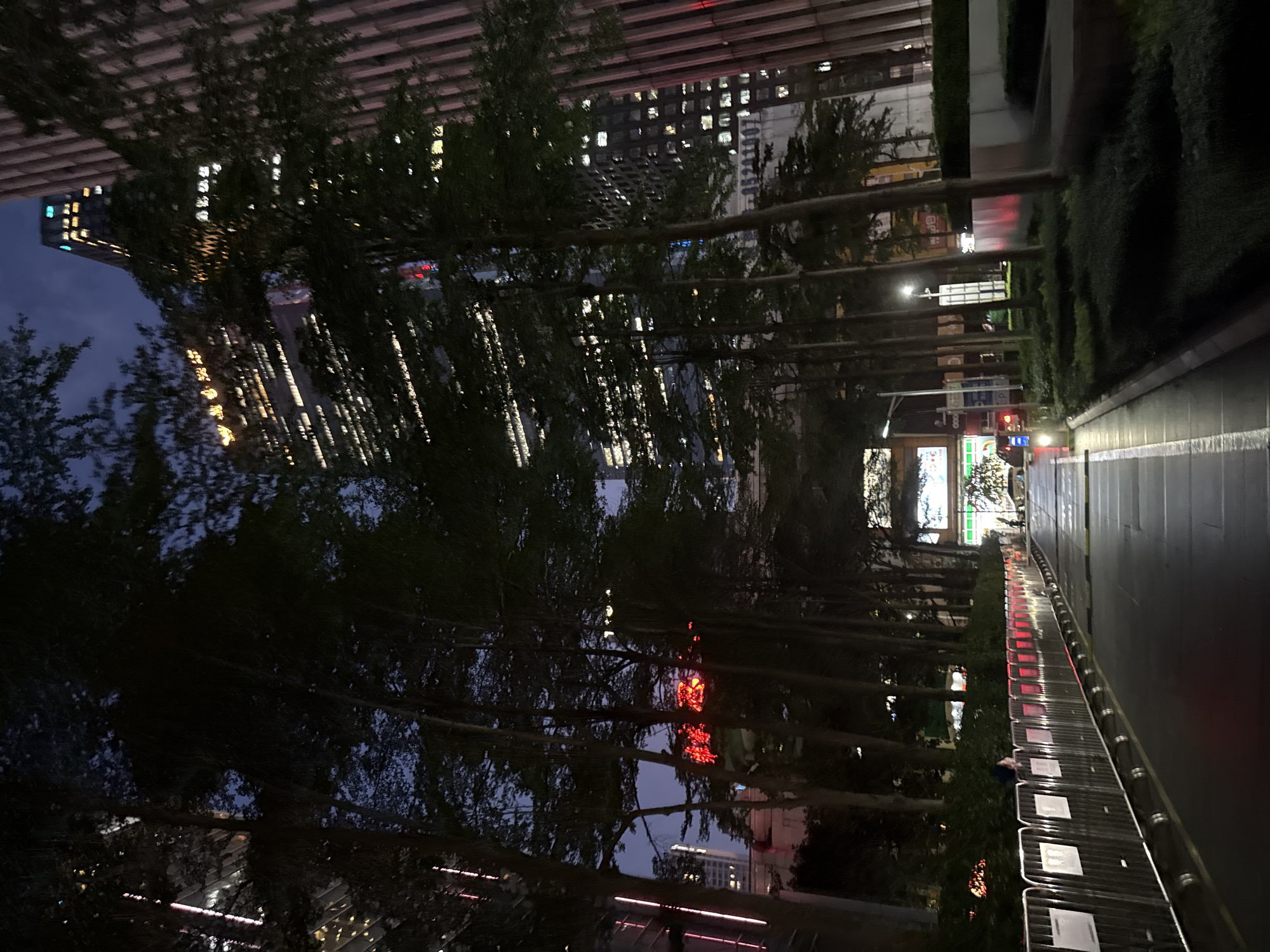 A nighttime shot in Tianhe District, China, presents a perspective down a city street. A row of evenly spaced, slender trees lines the left side of the street, obscuring a view of high-rise buildings behind. Their dark foliage and trunks are backlit by building lights. The right side of the street features a raised green hedge or bushes along the walkway. A barrier of metal dividers runs along the length of the sidewalk. A figure walks along the sidewalk. Streetlights cast a glow on the pavement. Above, illuminated buildings add to the light. A video display is visible further down the street. The photo has been rotated ninety degrees counter-clockwise.
