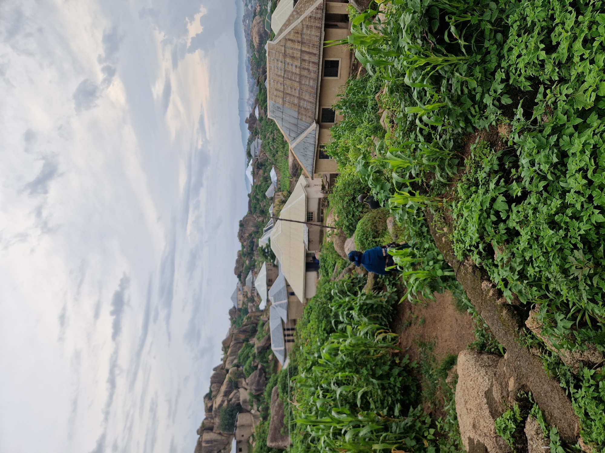 An outdoor, eye-level, vertical shot shows a cloudy sky over a rocky, hilly landscape with scattered houses and dense vegetation. In the foreground, a path curves through lush green plants and large rocks. A person in a blue garment walks away from the camera on the path. In the midground, several houses with corrugated metal roofs are nestled among the rocks and greenery. The houses have light-colored walls. In the background, more houses are visible on the hillsides, and a hazy mountain range stretches across the horizon. The overall scene depicts a rural or semi-rural settlement in a rocky, elevated terrain under an overcast sky.