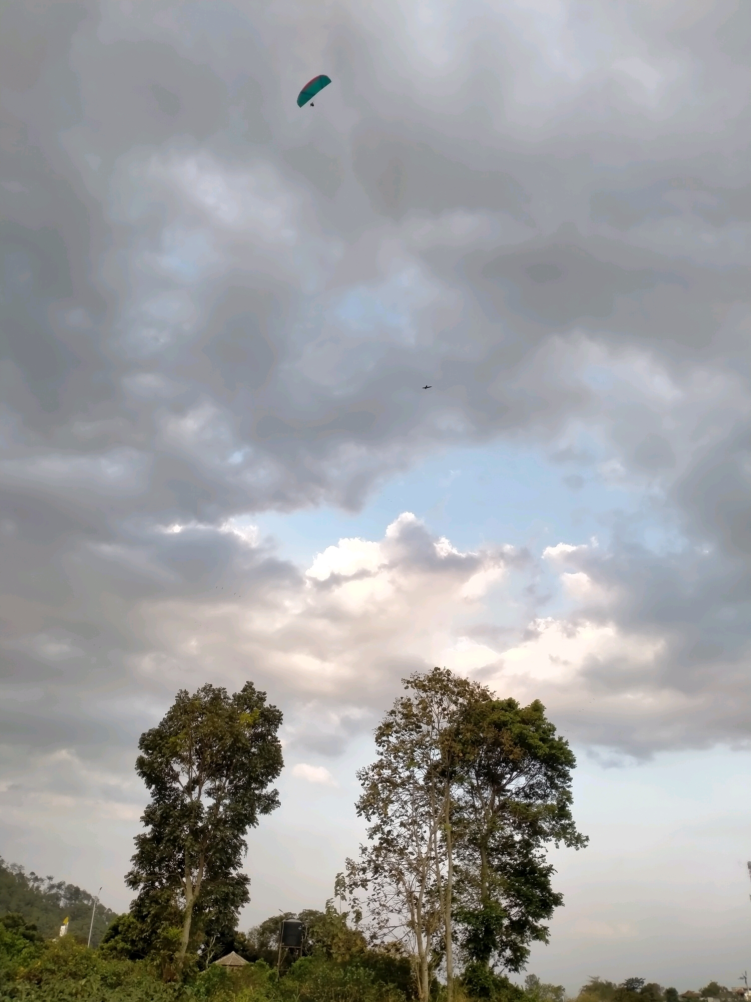 The image captures a cloudy sky over a natural landscape in Batu, Indonesia. In the upper portion of the image, a paraglider with a blue and green canopy is visible against the overcast sky, with a small figure harnessed below. Further to the right and slightly lower, a small dark object, possibly an airplane, is also present in the sky. The lower half of the image features two tall trees with dense foliage, situated amidst lush greenery and vegetation. In the background, a subtle hint of hills and a structure that appears to be a water tank can be seen. The overall scene suggests an outdoor recreational or natural setting.