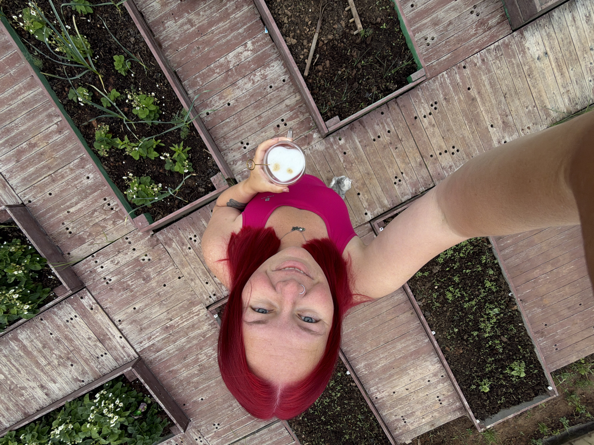 An overhead selfie captures a woman with bright red hair and blue eyes, smiling directly at the camera. She wears a vibrant pink top and has a silver nose ring. Her left arm is extended towards the camera, holding a clear glass mug filled with a foamy, light brown drink, possibly a latte, featuring two distinct darker spots on the foam. A partial tattoo is visible on her right upper arm.
The woman is situated in an outdoor garden, which features a series of raised garden beds filled with dark soil, separated by rustic wooden plank walkways. Various plants are growing in the beds; visible are strawberry plants with small white flowers, long-leafed plants resembling garlic, and numerous young seedlings. A small grey cat is partially visible nestled near the woman's left side, behind her arm. In one of the beds to the upper right, a small garden rake or tool is lying on the soil. The bright lighting suggests it is daytime. The woman's cheerful smile conveys a relaxed and happy mood. The scene depicts a moment in a home garden, located in Chaikovsky, Russia. No visible text is present in the image.