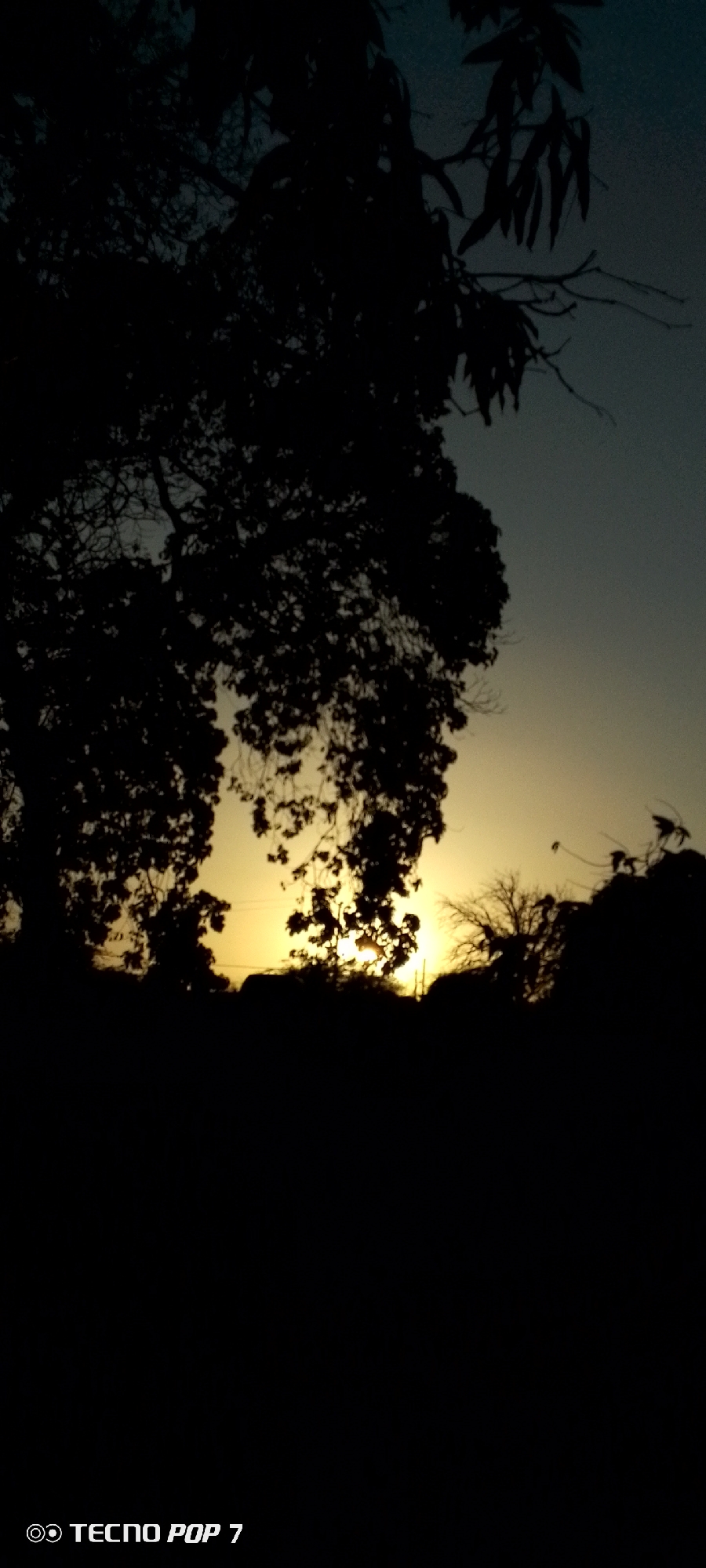 The image shows a sunset, likely taken in Altagracia, Venezuela given the prompt context. The foreground and midground are dominated by the silhouettes of trees and foliage. The sun is setting on the horizon, with its light peaking through the gaps in the trees. The sky transitions from a darker shade at the top to a lighter, golden hue near the horizon. The bottom of the image is black, and in the lower-left corner, "TECNO POP 7" is visible, indicating the device used to capture the photograph.