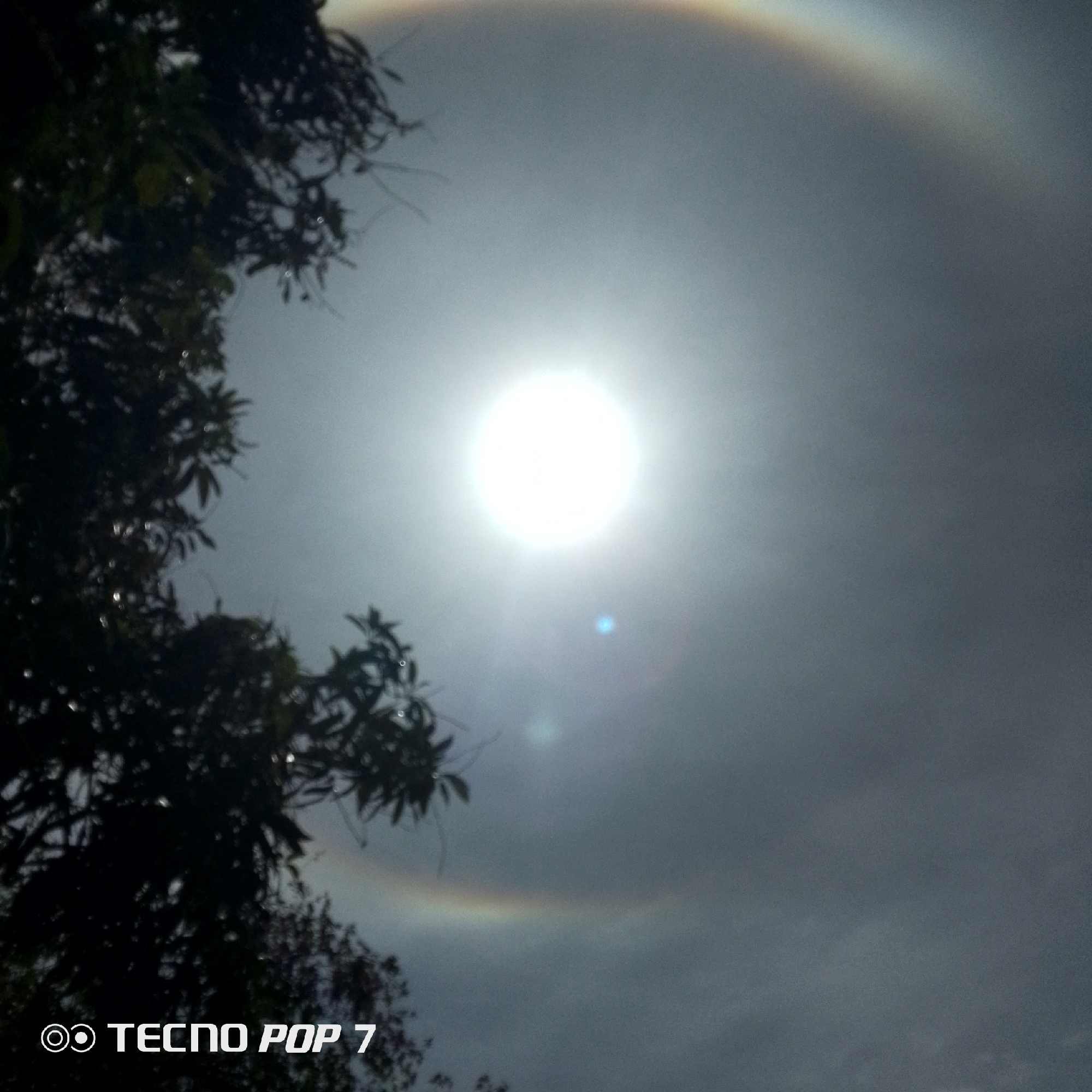The image shows a sun halo, a circular rainbow effect around the sun, in a cloudy sky. Tree branches are visible on the left side of the frame. The image was taken with a Tecno Pop 7 phone. The location is Altagracia, Venezuela.