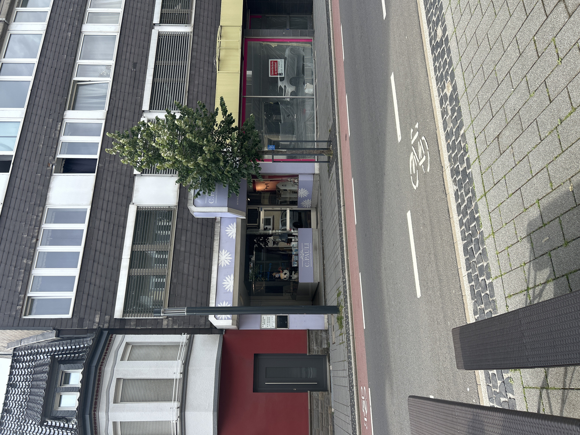 The image shows a street view in Waldbröl, Germany, featuring a row of buildings and a street. The building on the left has a red facade with a gray door. Adjacent to it is a building with a purple facade, housing a store with a large display window showing various items, including a panda plush toy and books. The store's signage reads "C.PAULI NATURE". To the right of this store, another shop window is covered with plastic sheeting, but a white car is visible inside, along with a sign that says "Gewerberäume zu vermieten". Above the shops, the buildings have multiple stories with numerous windows. A tree stands in front of the purple-fronted shop. The street in the foreground is asphalt with white lane markings and a bicycle symbol. Cobblestone paving is visible on the sidewalk. Two dark brown, slatted benches or tables are present in the lower portion of the image, positioned on the sidewalk. The sky is overcast, suggesting a cloudy day.